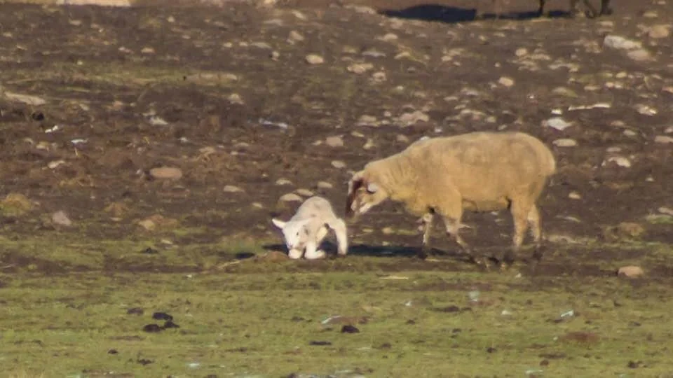 There is such beauty and love that embraces us during moments when we can show up and be there for each other... sending all love and goodness your way. 🥰🙏🏽☀️✨😘💞