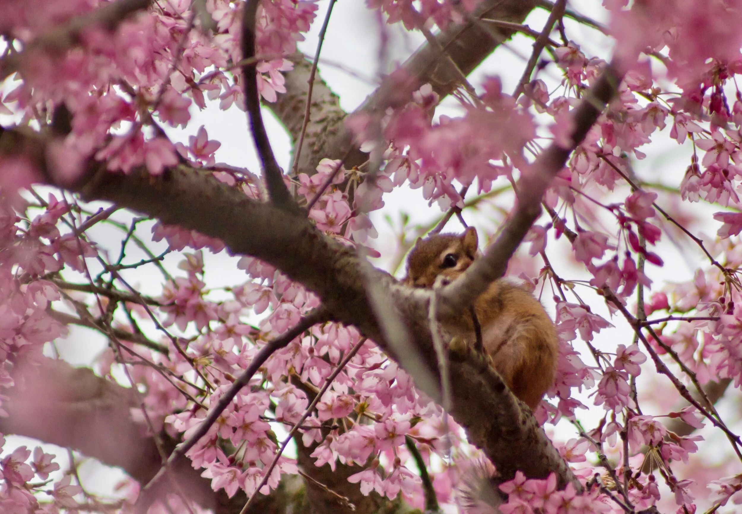 “Good morning... I see you, I see you... and hope you have a day surrounded by beauty and goodness.” ☀️🥰✨💞