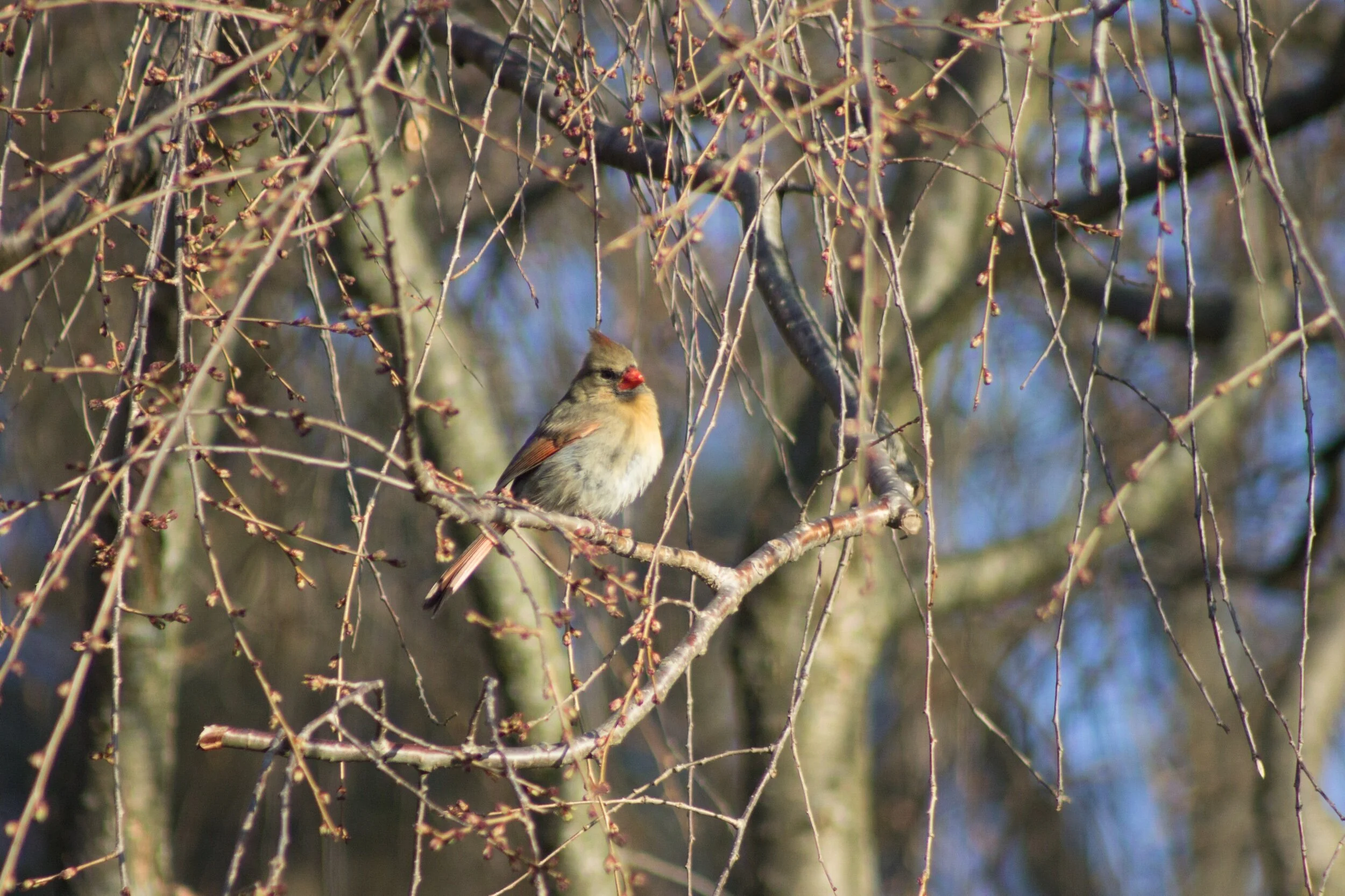 “Good morning, Sunshine ☀️ wishing you a day full of brightness. ✨💞”