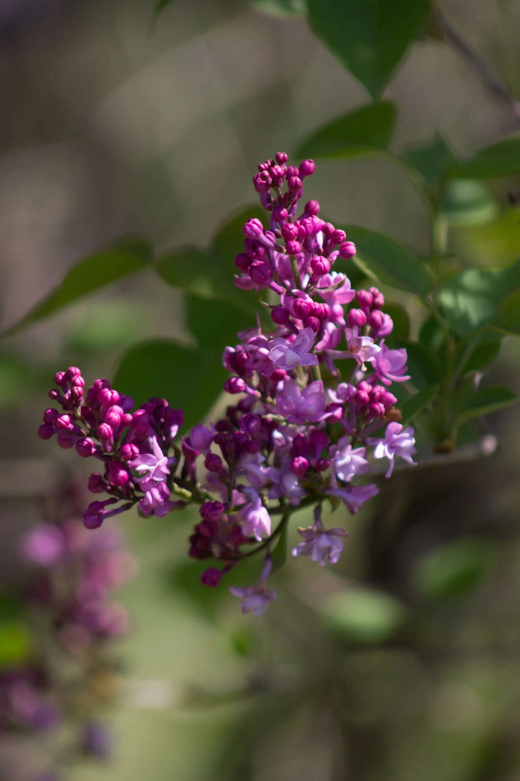 Getting an early start... 💗✨💞