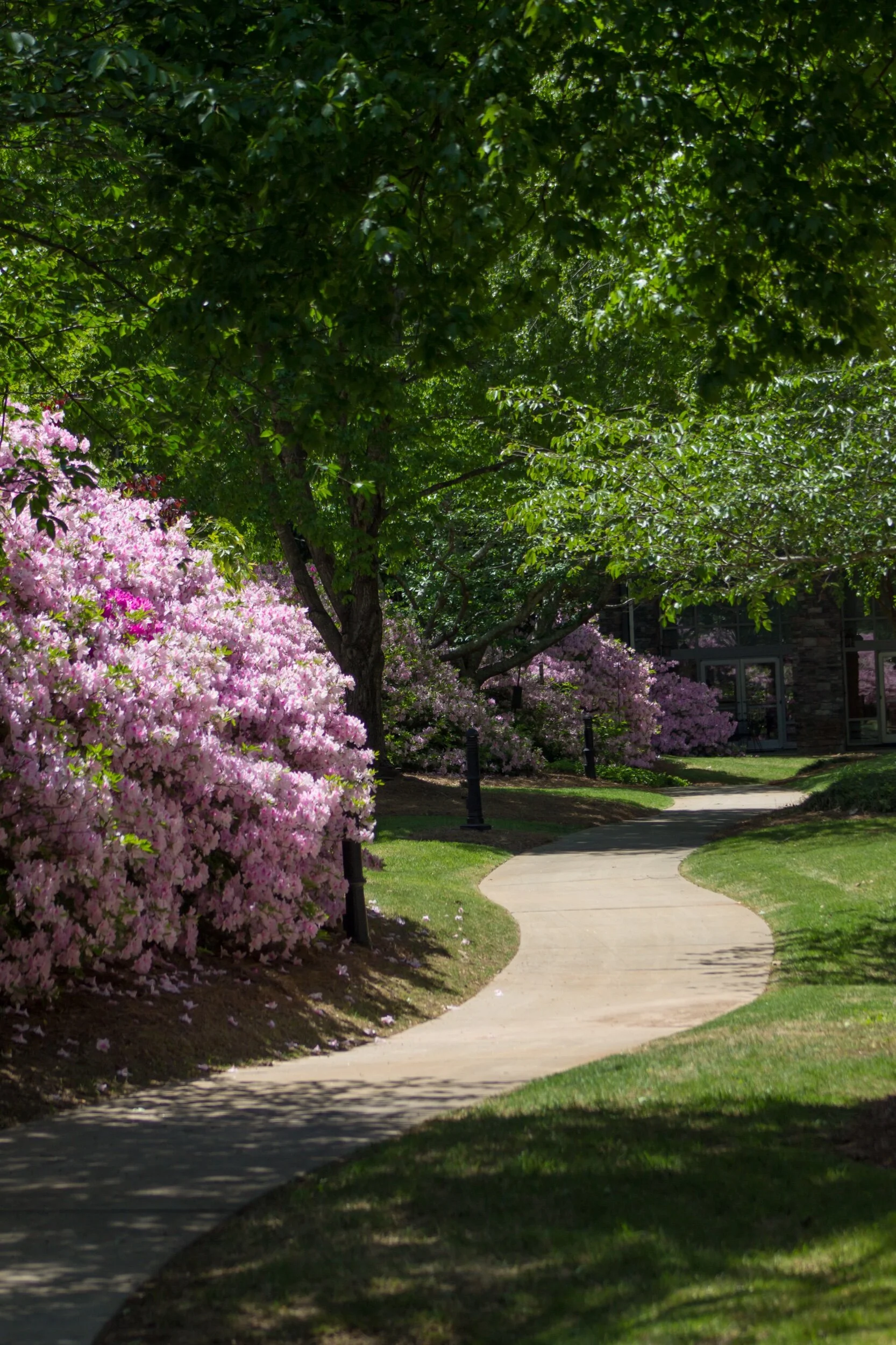 May you find beauty on your path today... ☀️✨💞