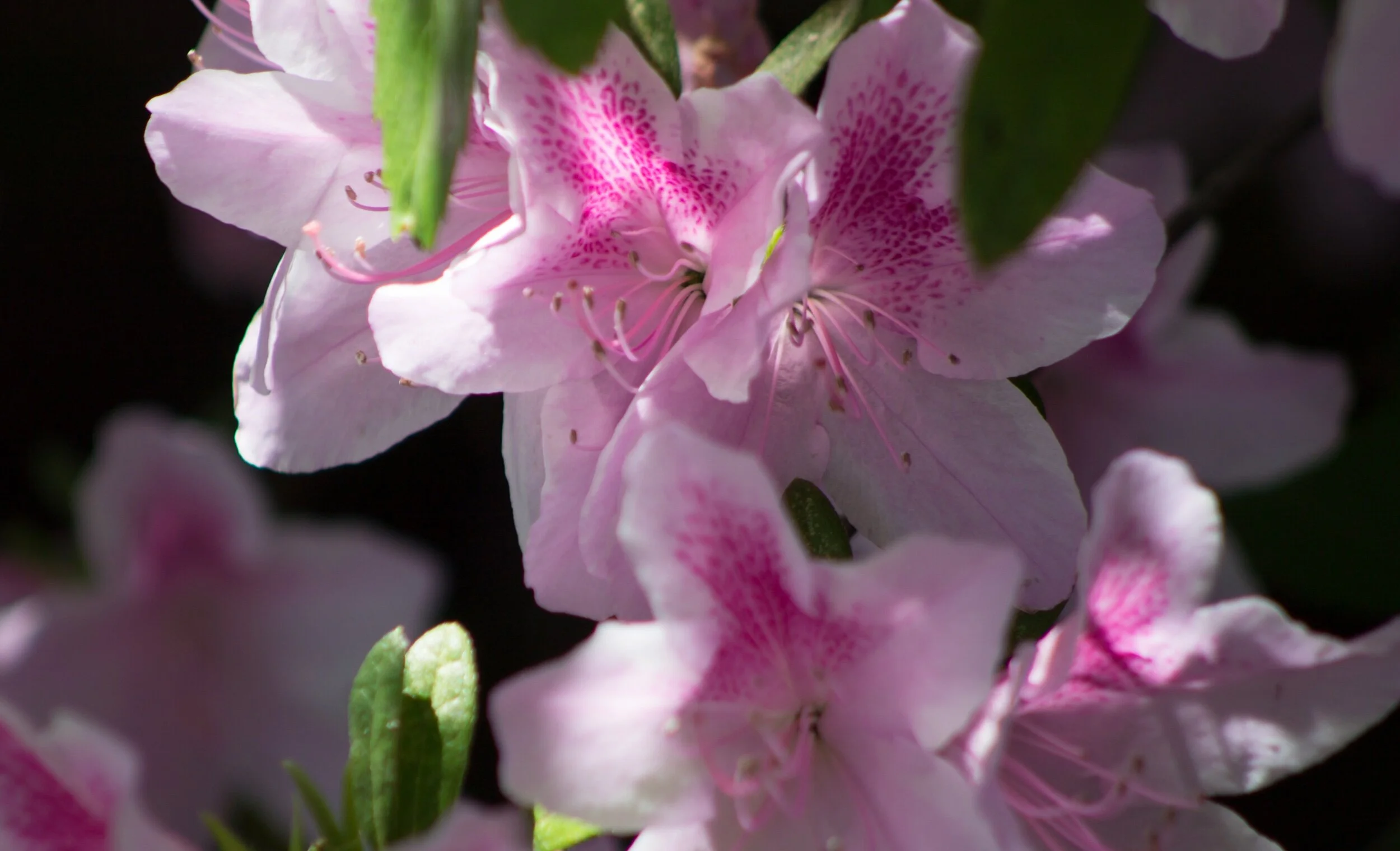 “Good morning, sunshine... ☀️✨🥰💞”