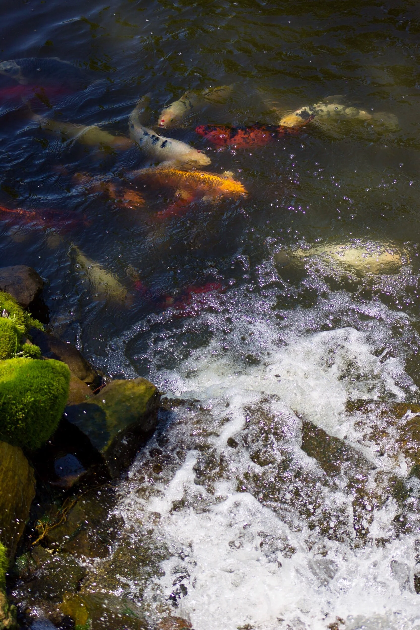 “HI!” “hi.” hI!” Hi, I’ve really missed you, and you... and you!” 🤗☀️✨😘💞