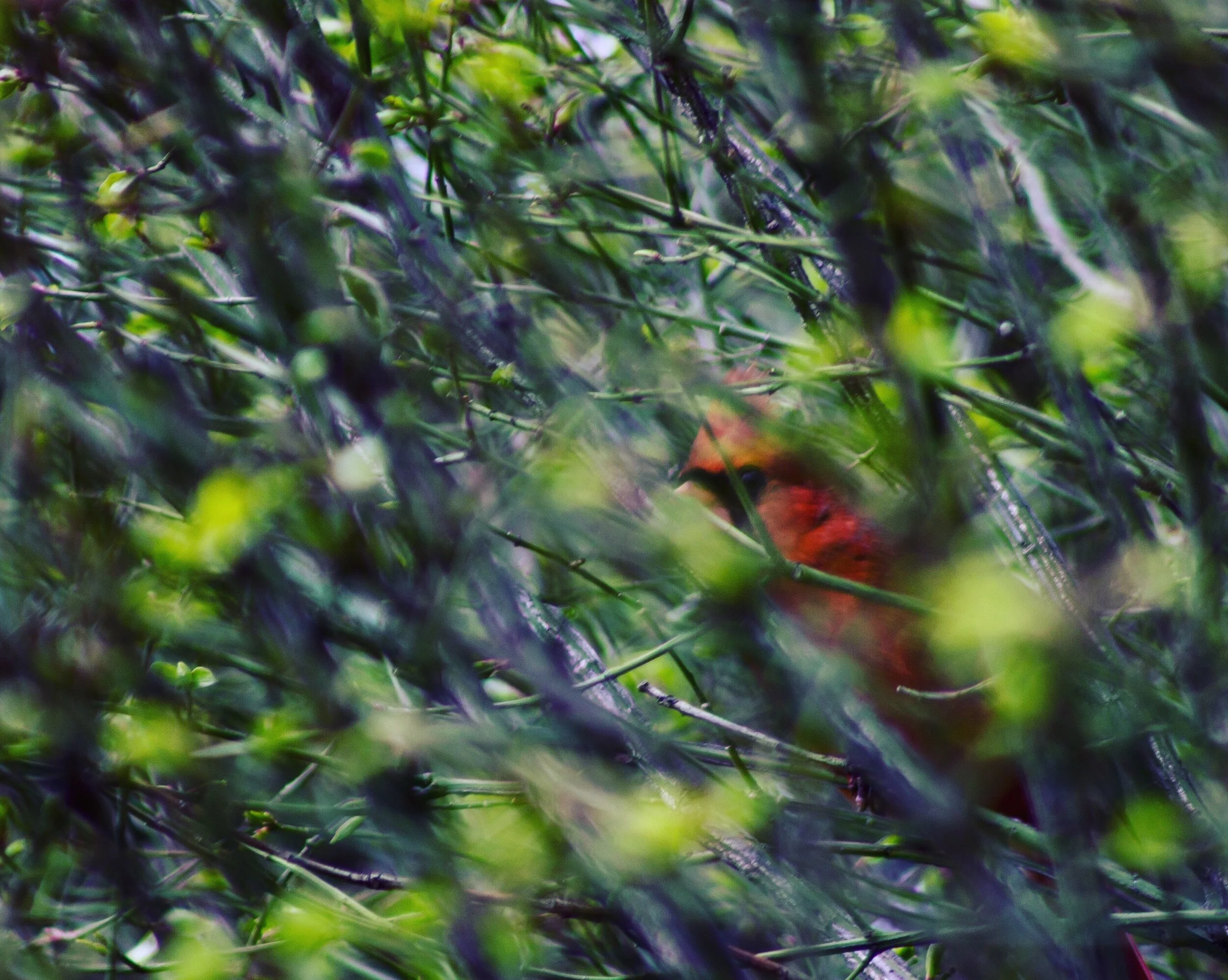 Good morning, little one... I see you watching me as I am watching you. I hope your day brings you everything you need. ☀️✨💞