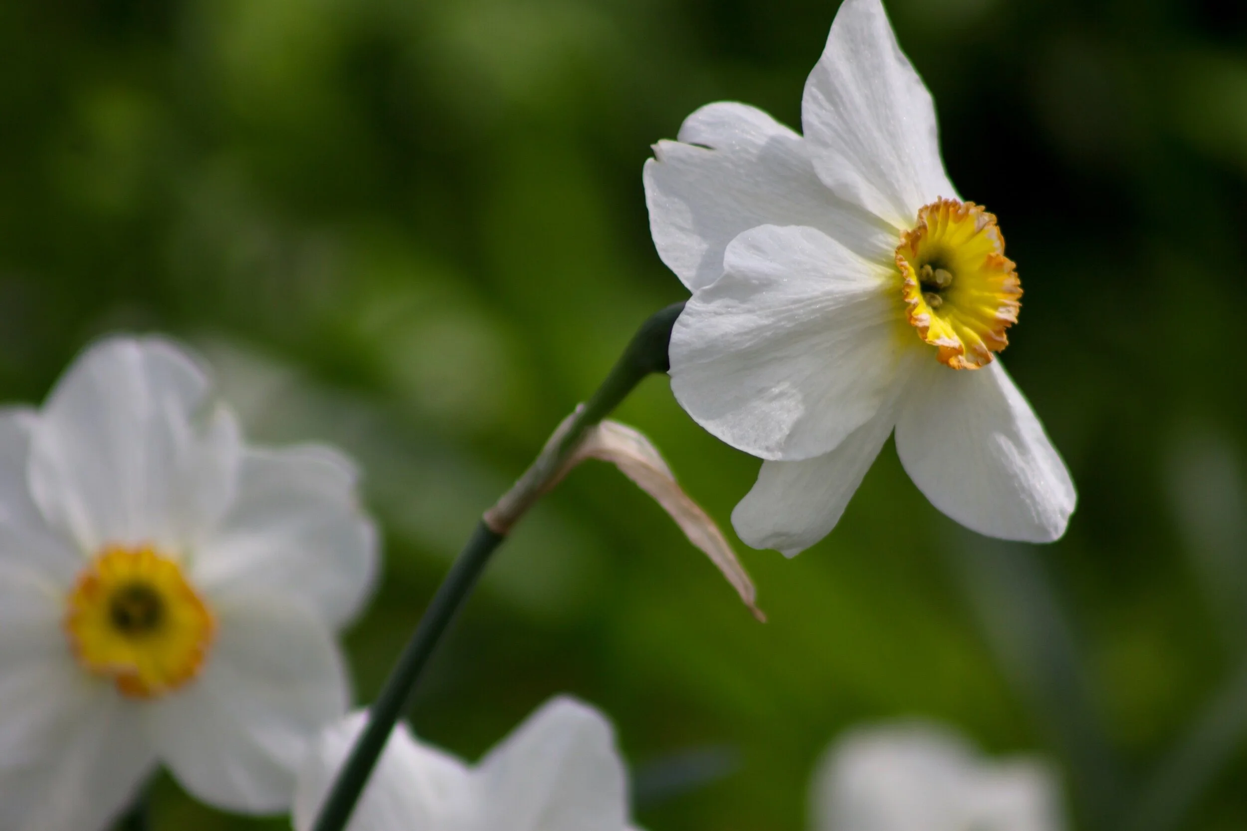 Have you ever had such a craving for peace, for love, for the Divine, that you felt yourself constantly reaching? Just know that they are already a part of you... they are all with you and within you, just waiting for you to pause, to melt, to surrender long enough to allow their presence to bubble up from within... 🙏🏽💗☀️✨💞