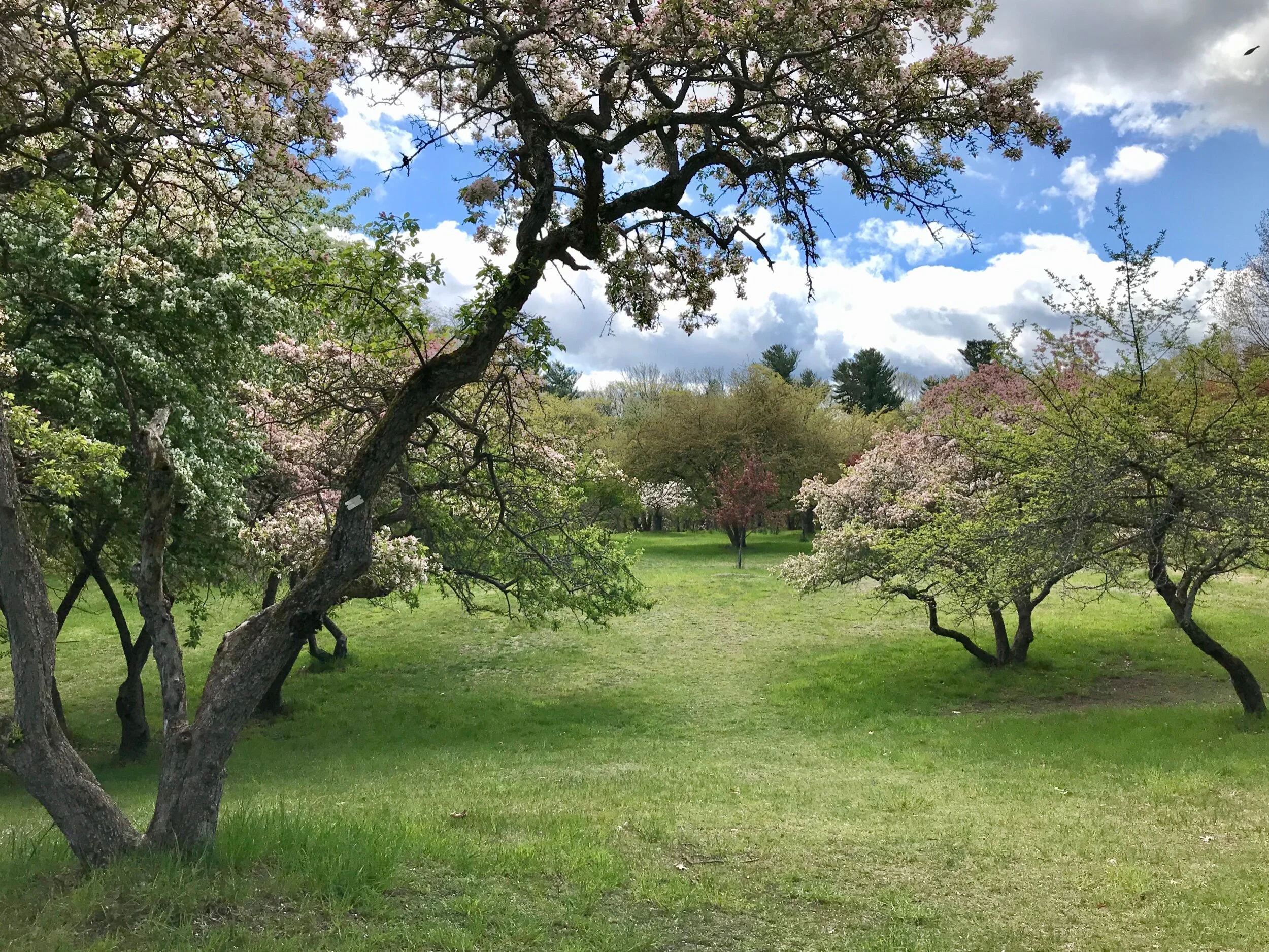 Walking Out… walking in.... ✨ Beautiful in both directions... it just amazes me how different the view is with each. 🥰☀️💗💞