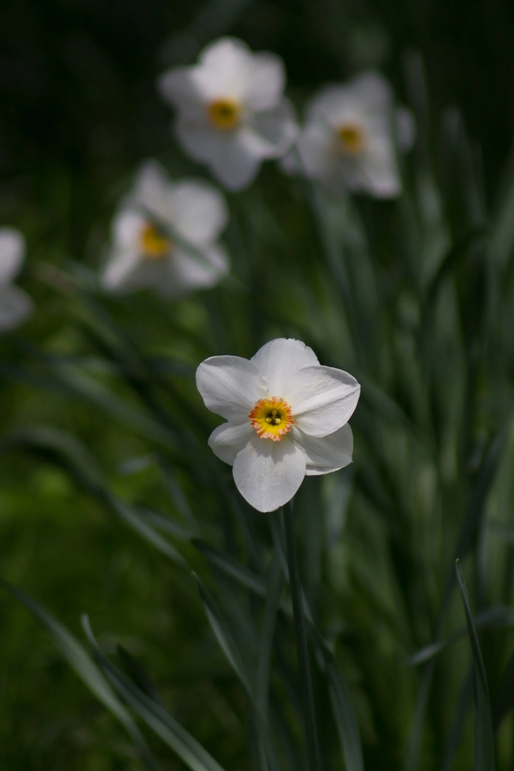 “Happy Friday! Wishing you a glorious day shared with those you love.” 🥰💞