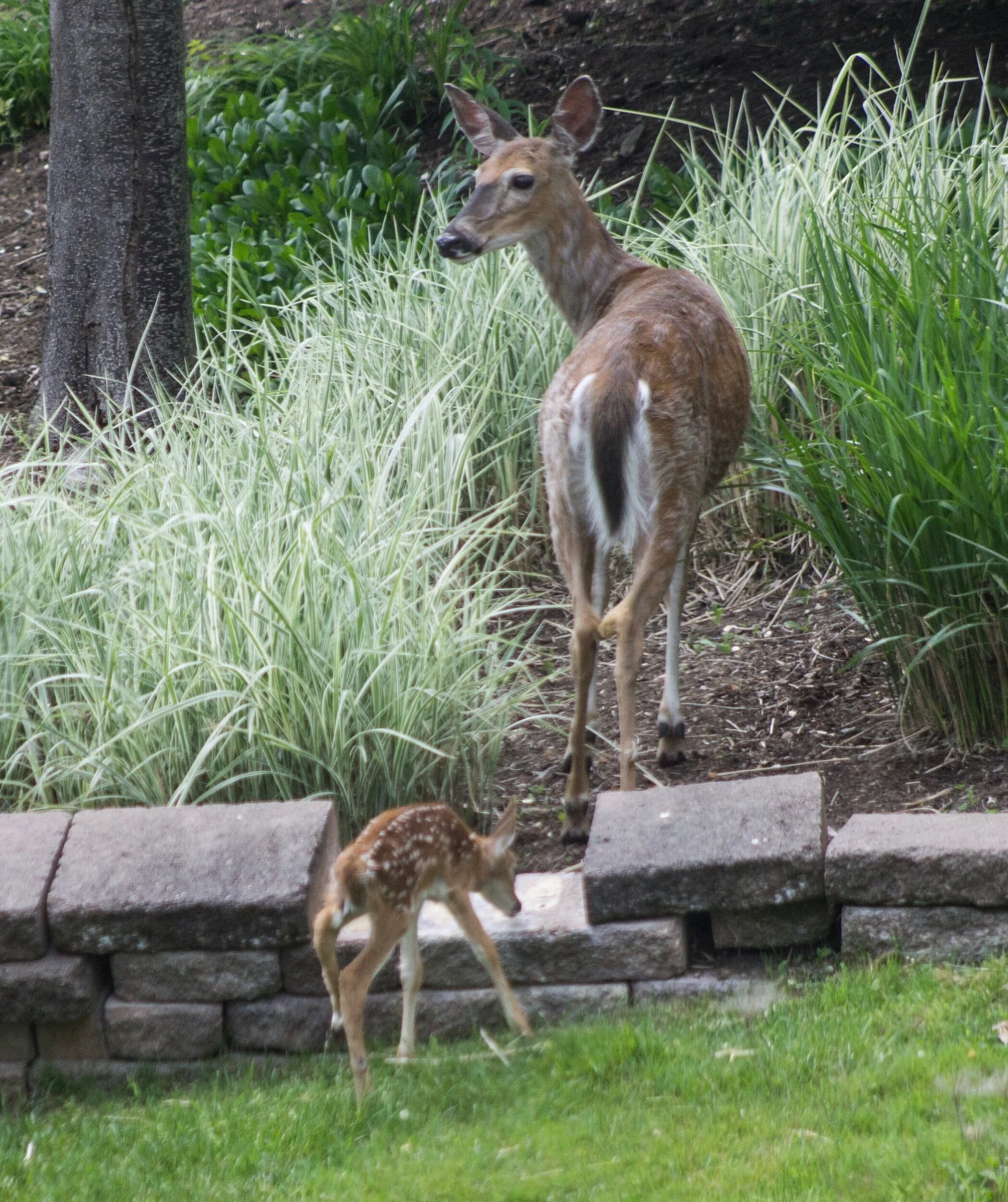 WhEn you just need to keep trying… 💗🙏🏽✨💞