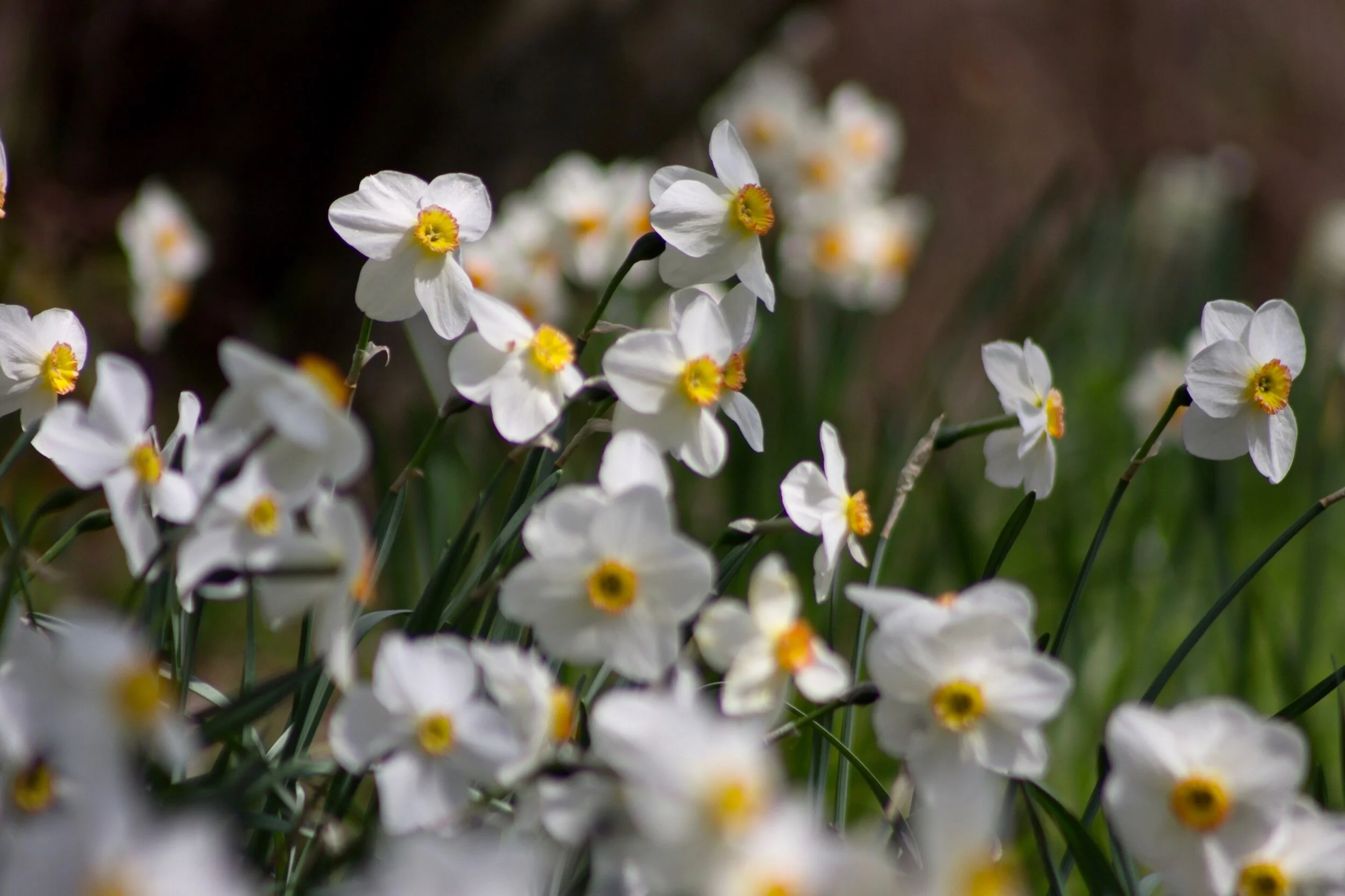 Happy Friday! Wishing you a day filled with moments that lift your spirits and bring you joy. 💗✨💞