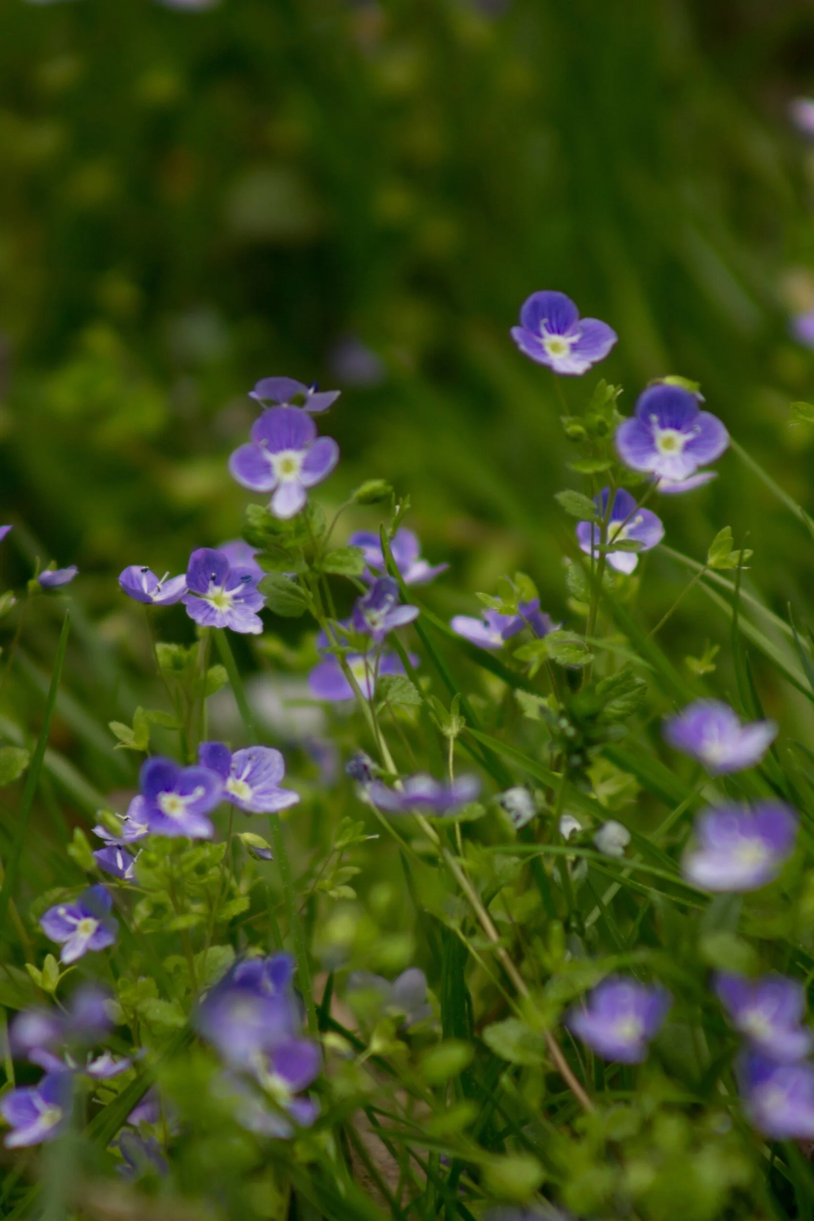 “Good morning, sunshine! ☀️ So grateful to spend some time with you today.” 💗🥰💞
