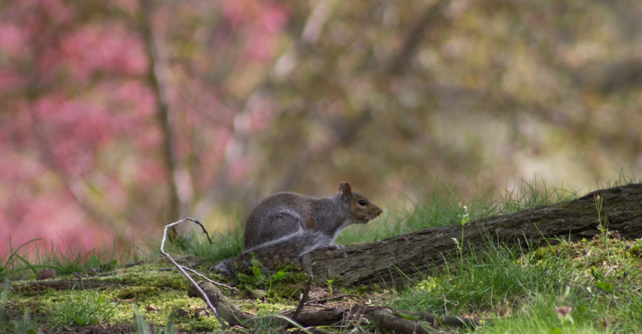 “If you’re looking for me, I’ll be here by the tree, taking in all the beauty I see.” 🥰💗✨