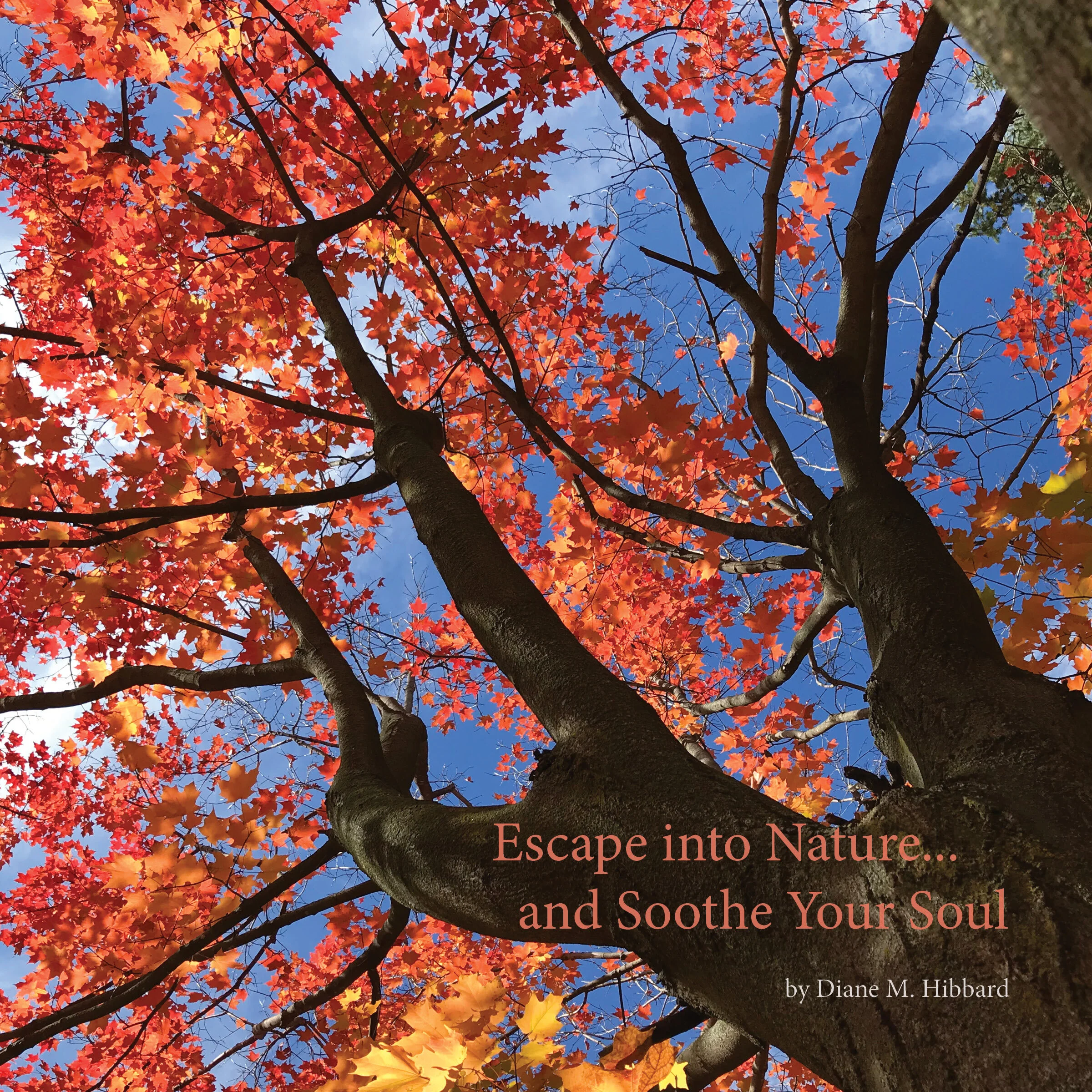 Escape Into Nature.jpg