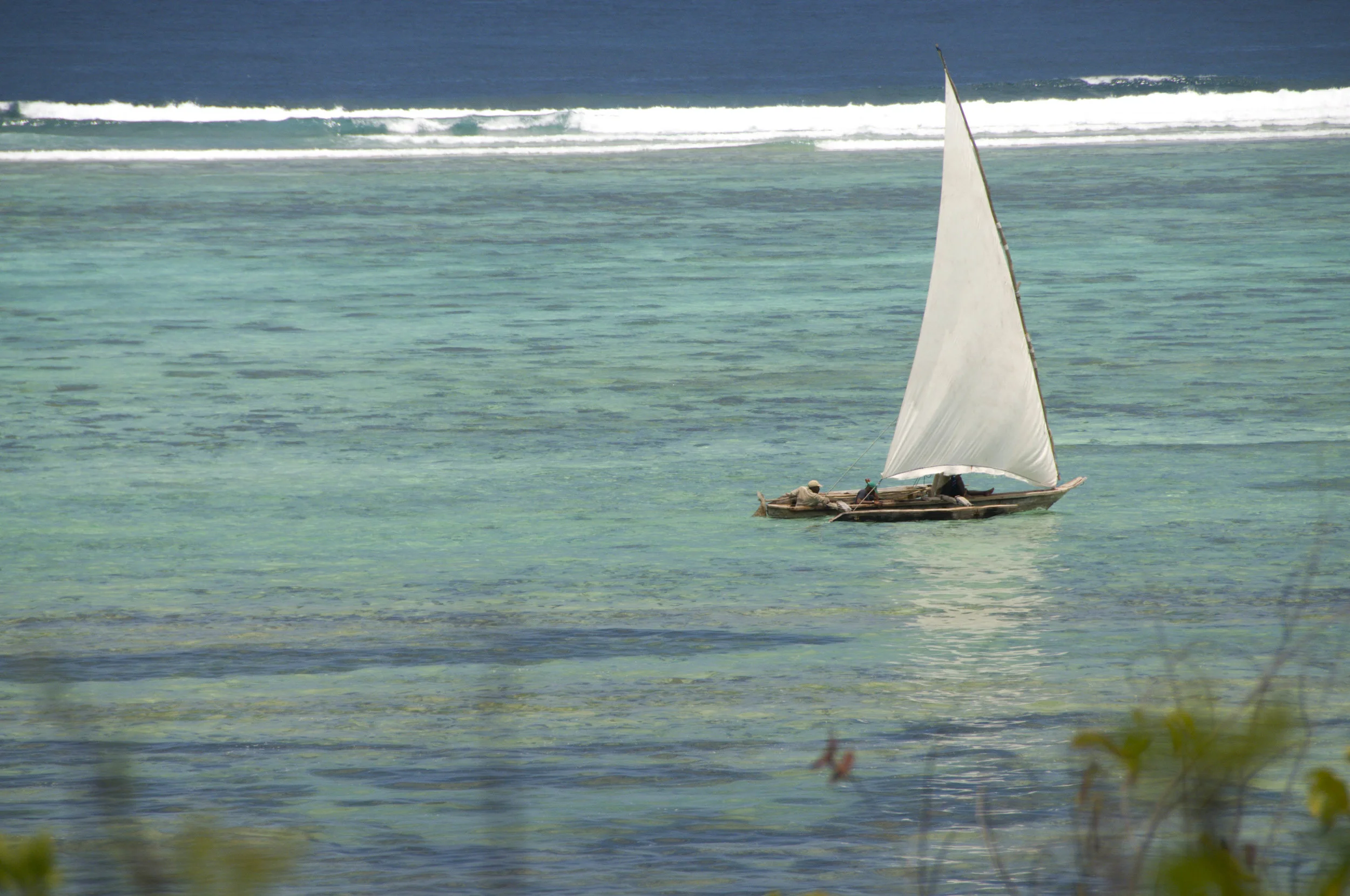 DSC_0889.jpg