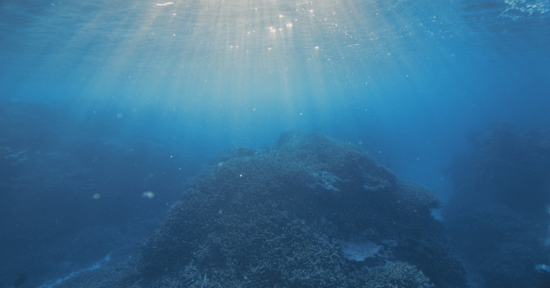 Underwater Cinematography