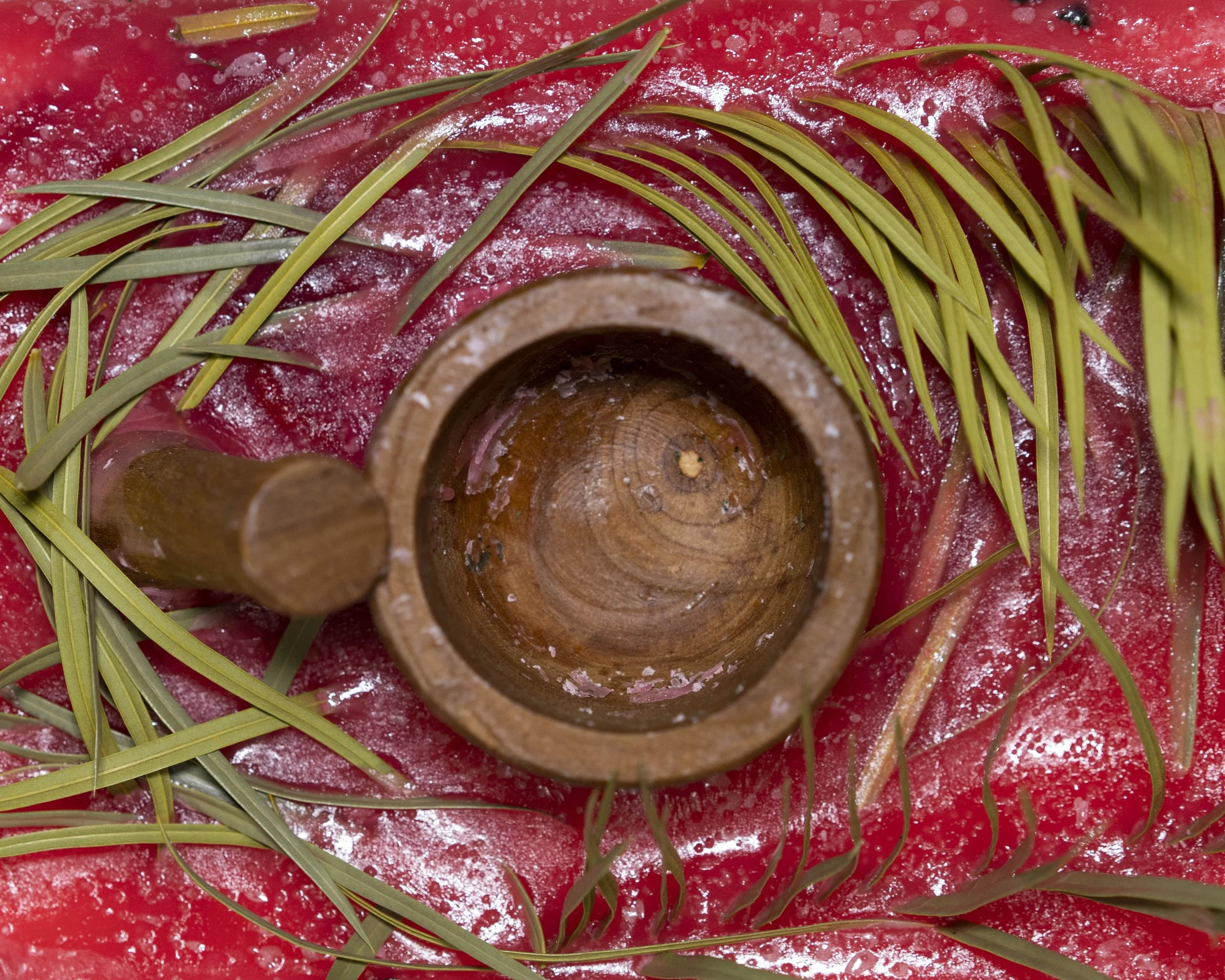 Cruz_Jordan_2019_003.jpg