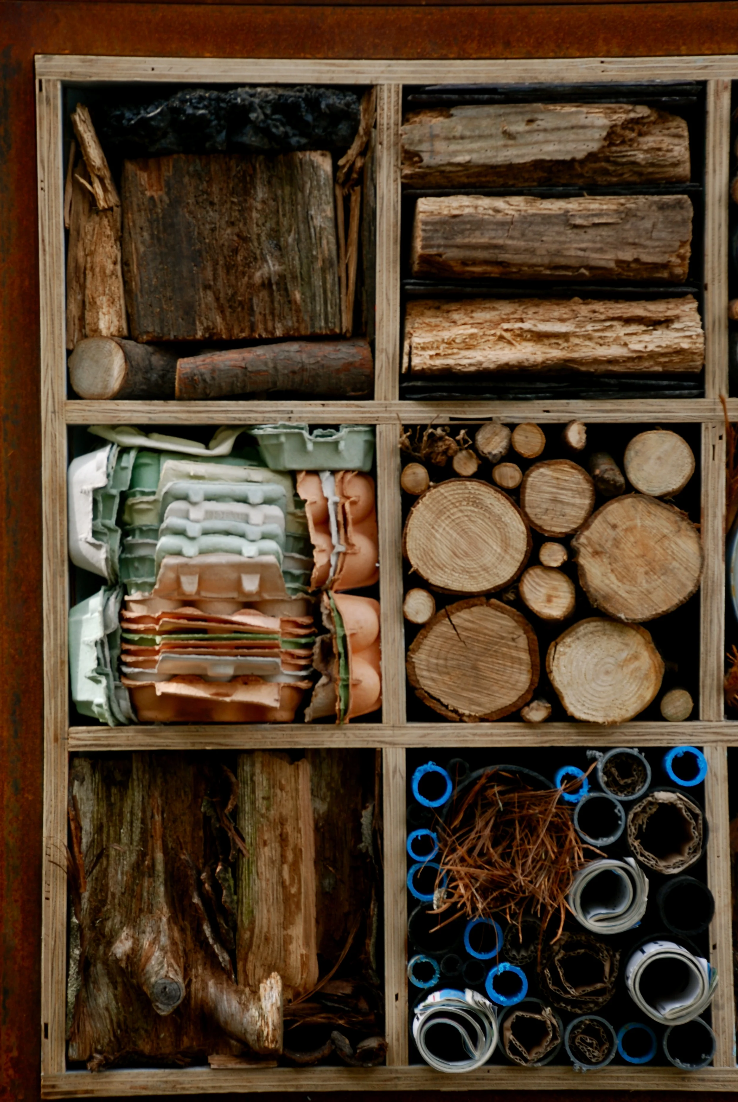 DSC_3749.jpg