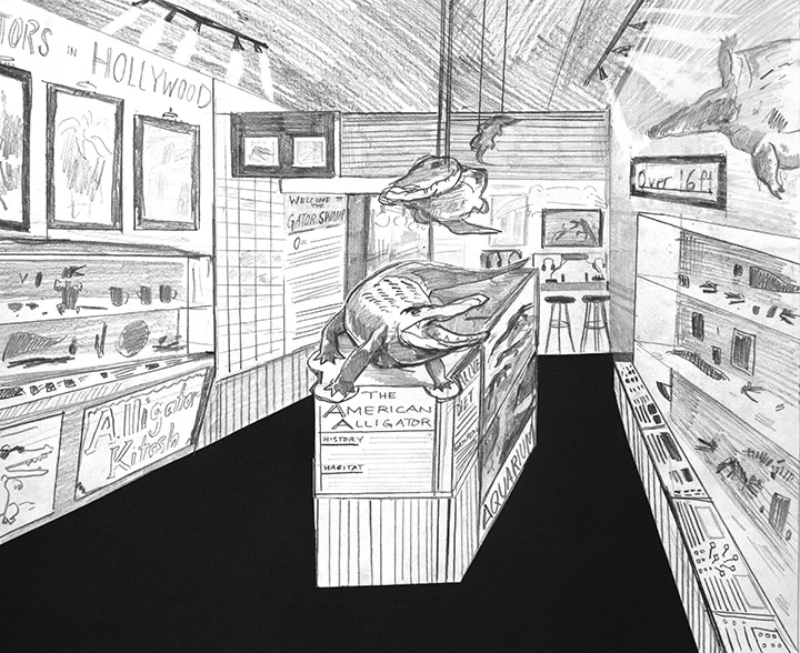 maingallery.jpg