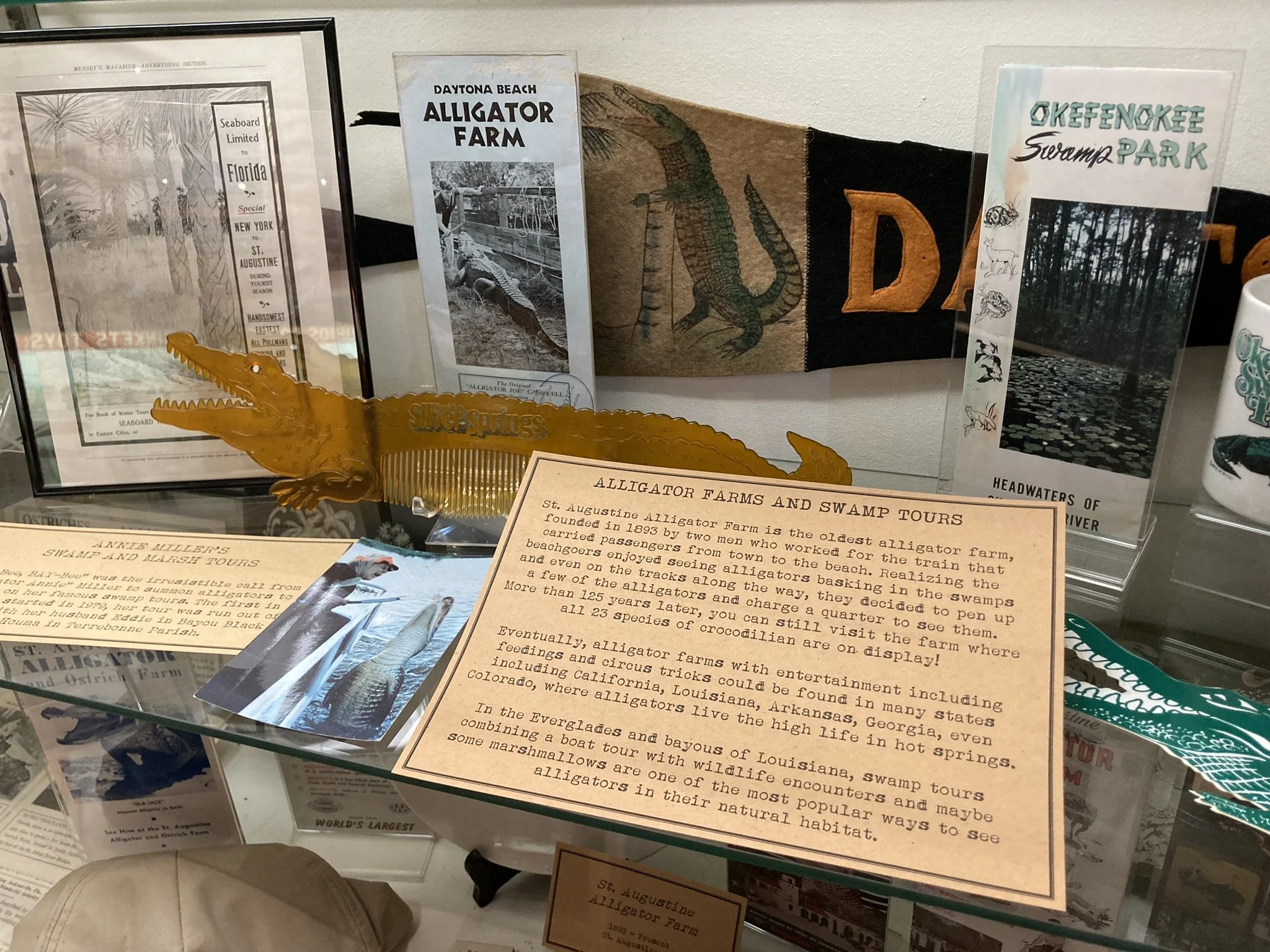 Alligator attractions started in Florida in the late 1800's.