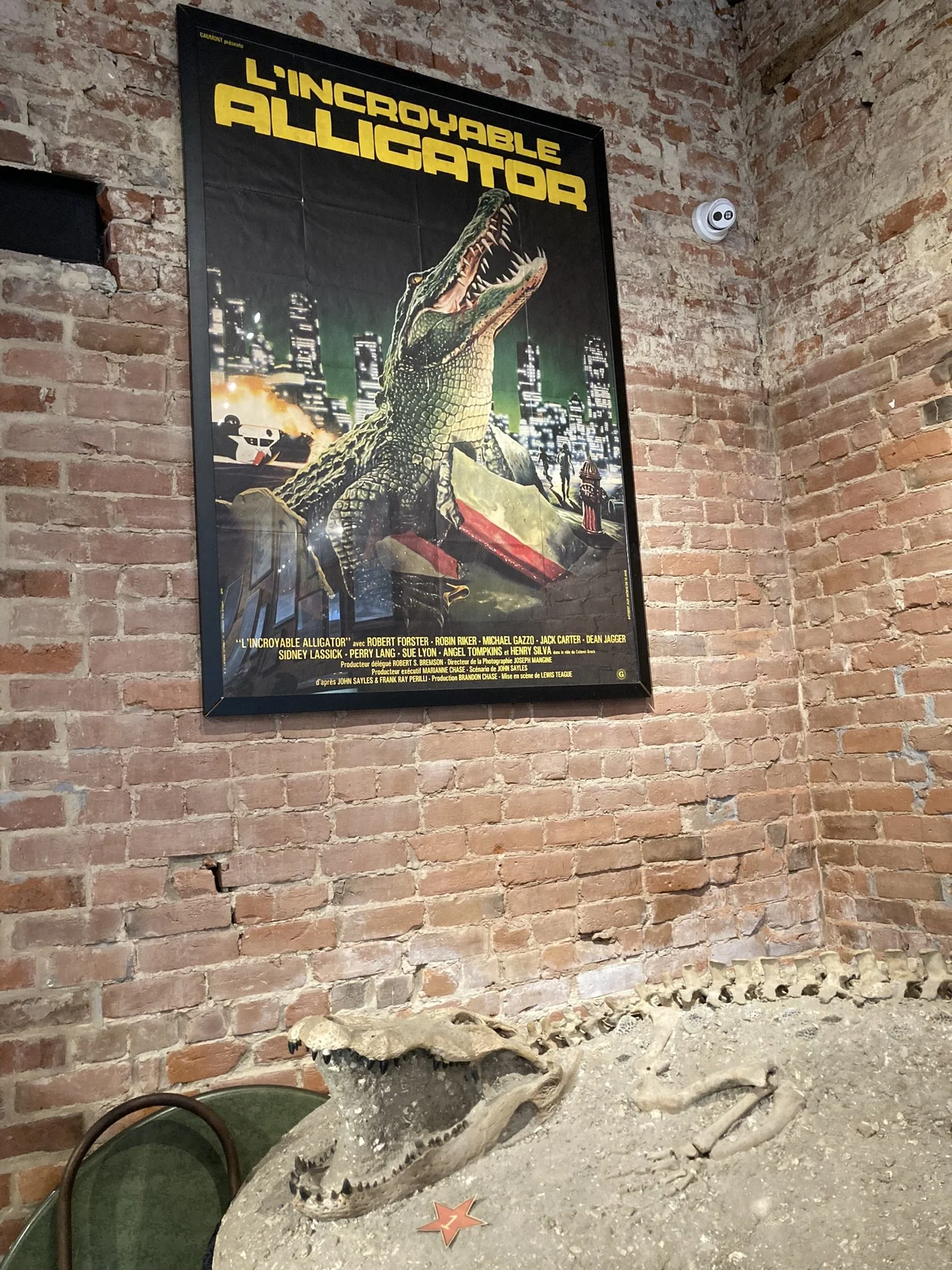 Say it with a French accent... "L-Incroyable Alligator!"