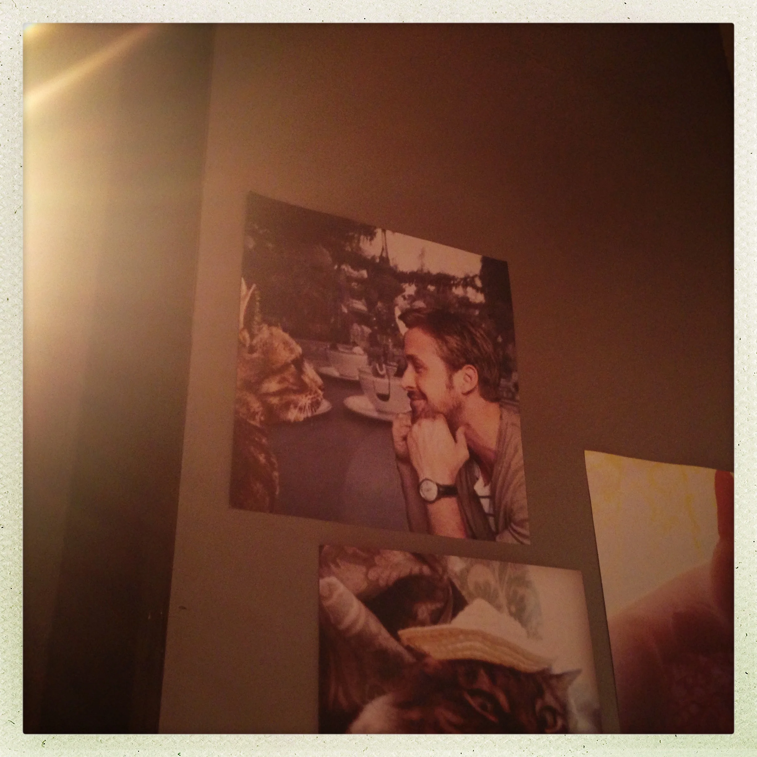 Ryan Gosling and cats are prominently featured. Like, together. Ryan and cats.
