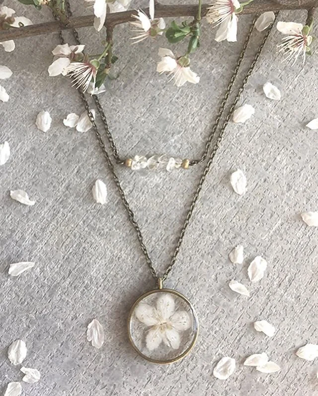 Blooming cherry blossom trees go hand in hand with the arrival of SPRING. 🌸 Check out our new two tiered Cherry Blossom Necklace it&rsquo;s designed with antique bronze, a splash of soft gold, a collection of crystals and a Cherry Blossom flower delicately picked from my trees at Rolling Roots Ranch in Shasta County, CA.
((Talk about the perfect Mother&rsquo;s Day gift 👌🏻))
Here a few totally random BUT fun facts about the Cherry Blossom...
-
The petals are edible.
-
🍒 blossoms symbolize renewal.
-
US 🍒 Blossom trees date back to 1912.
-
Most think of Japan or D.C when thinking about the cherry blossom but Macon, Georgia holds the title of &ldquo;Cherry Blossom Capital of the WORLD&rdquo; with over 350,000 Yoshino 🍒 blossom trees. -
🍒 blossoms can be pink or white
.
.
.
.
.
.
.
.
.
.
.
.
#cherryblossom #cherryblossomseason #flowerjewelry #flower #jewelryaddict #earthday #mothernature #naturephotography #naturelovers #nature #shopsmall #shopsmallbusiness #mothersdaygift #mothersd