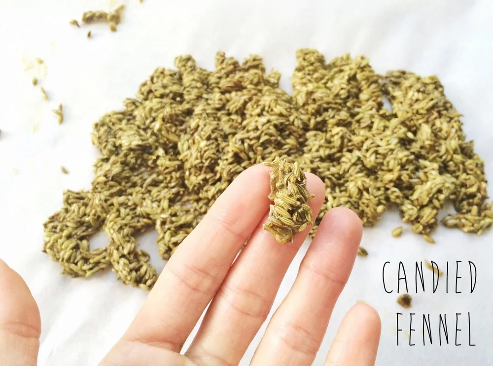 Candied Fennel + Preparing for Thanksgiving