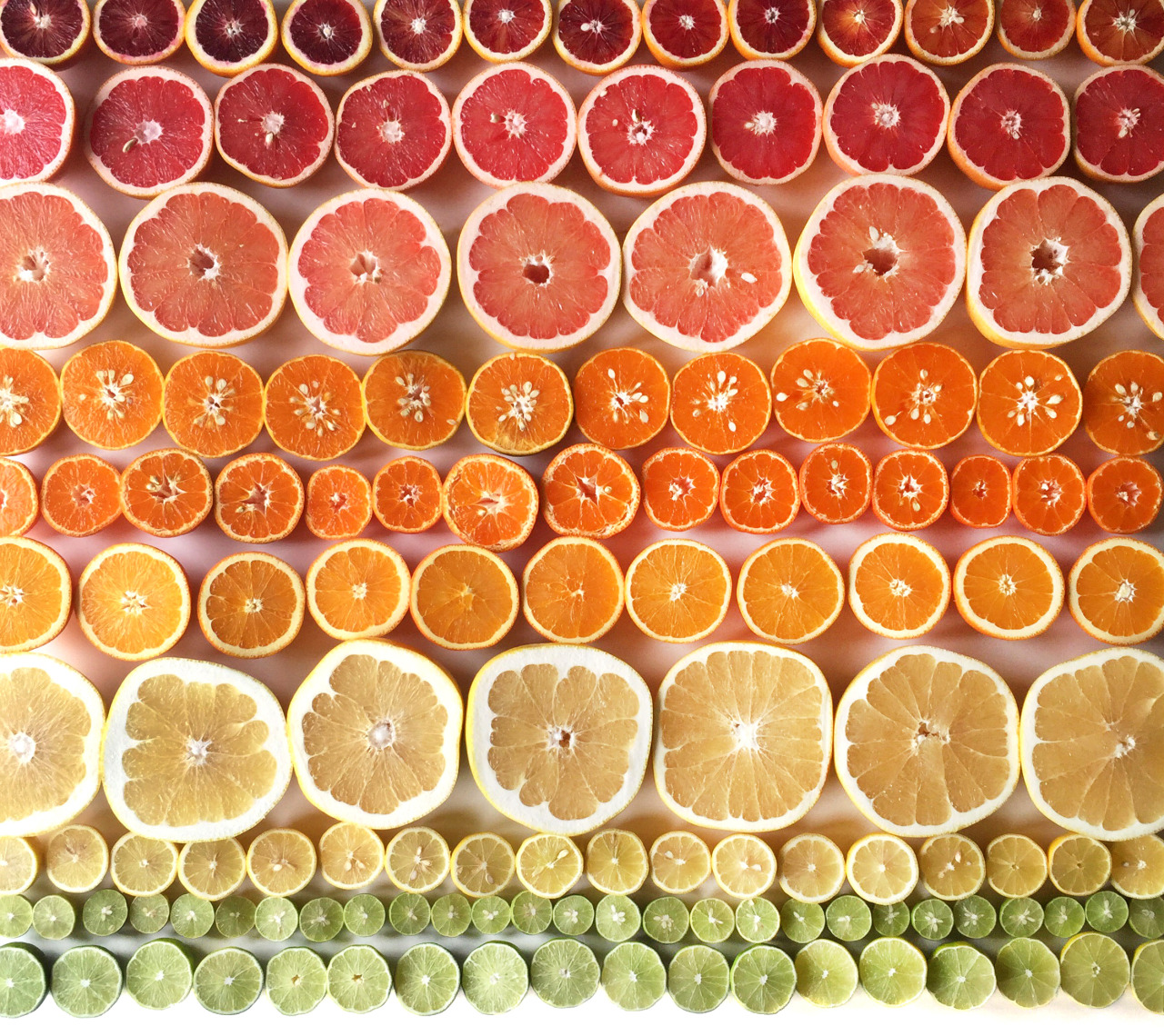 A Wright Kitchen #foodgradient. Has citrus ever looked so deliciously organized?