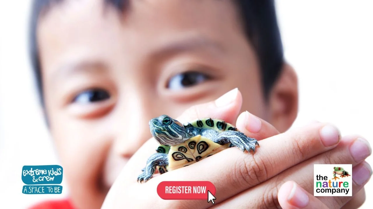 child holding turtle