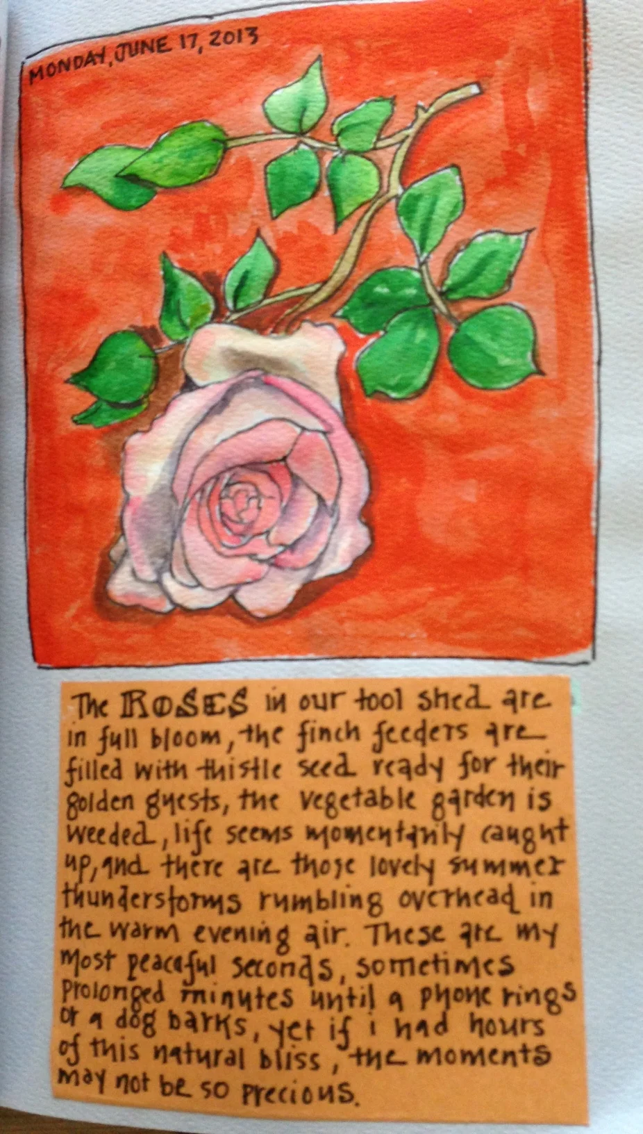 roses.jpg