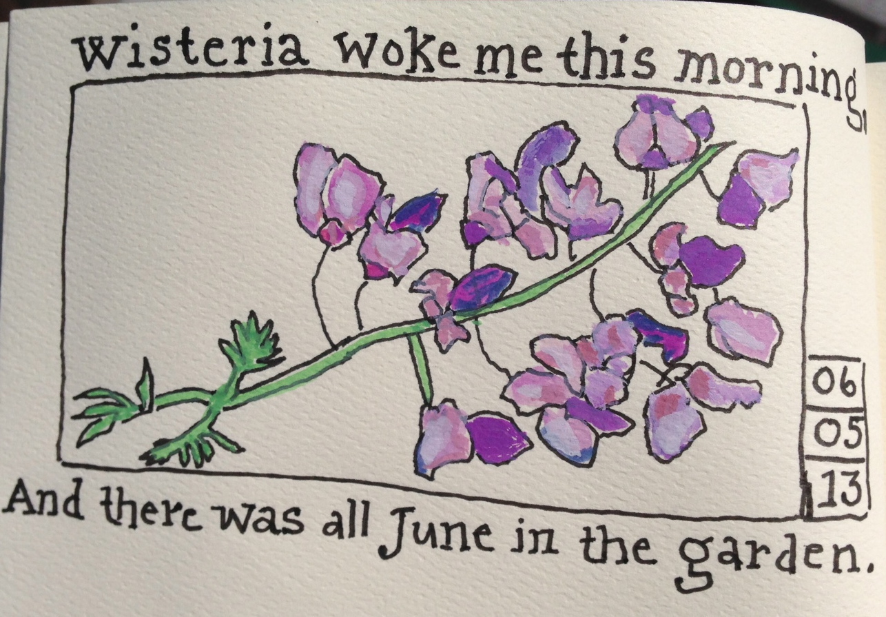 wisteria 12-04-08.jpg