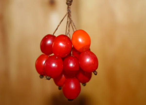 red african bead.jpg