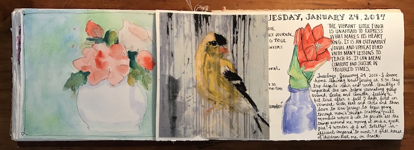 Recent Journal Pages