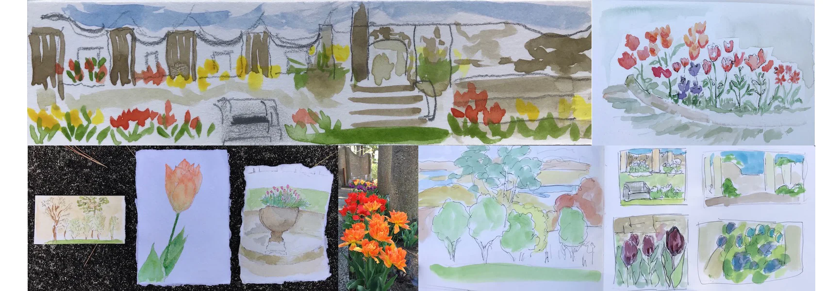 Drawings in the round rose garden of Castle Hill, Ipswich