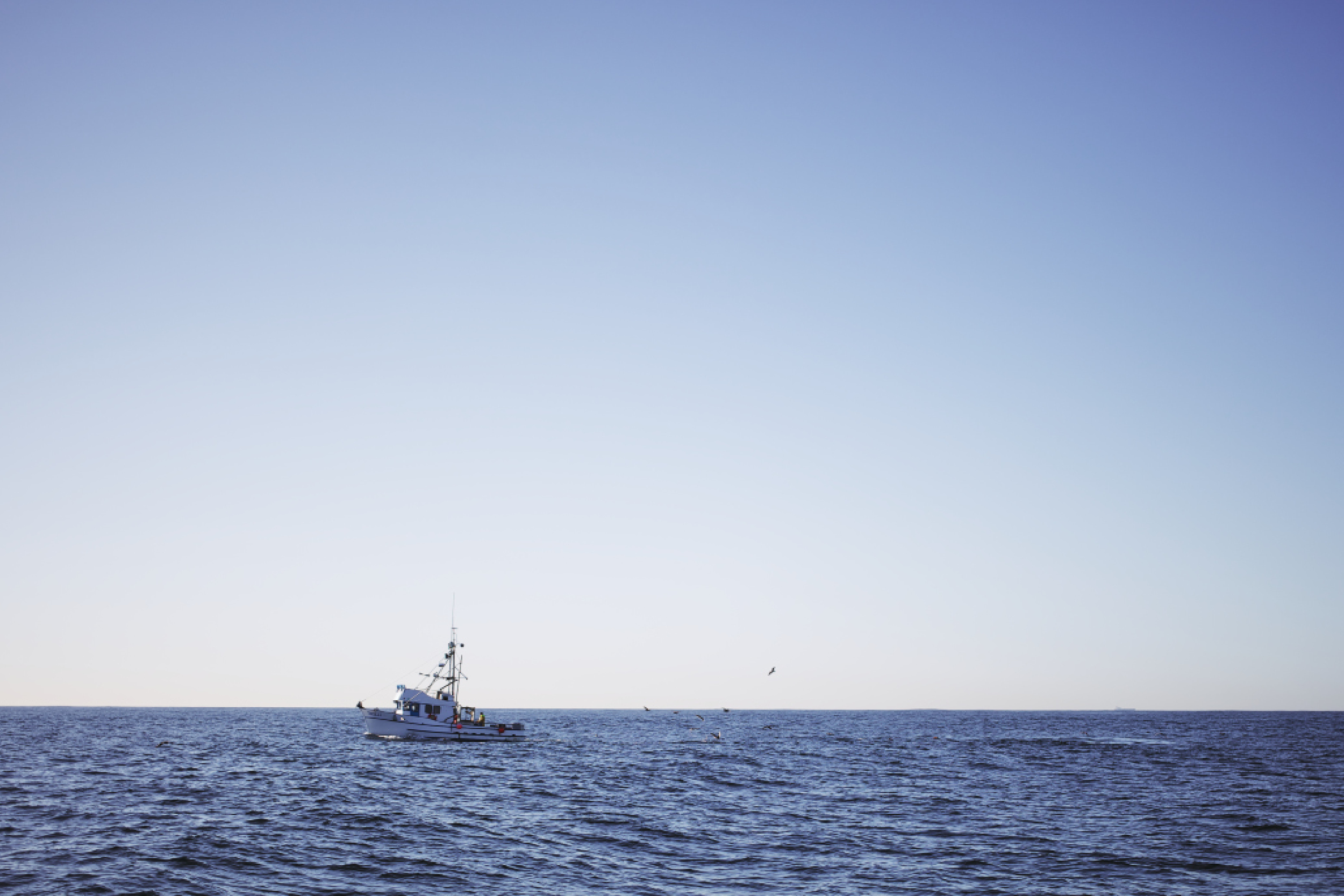 Crabbing.jpg