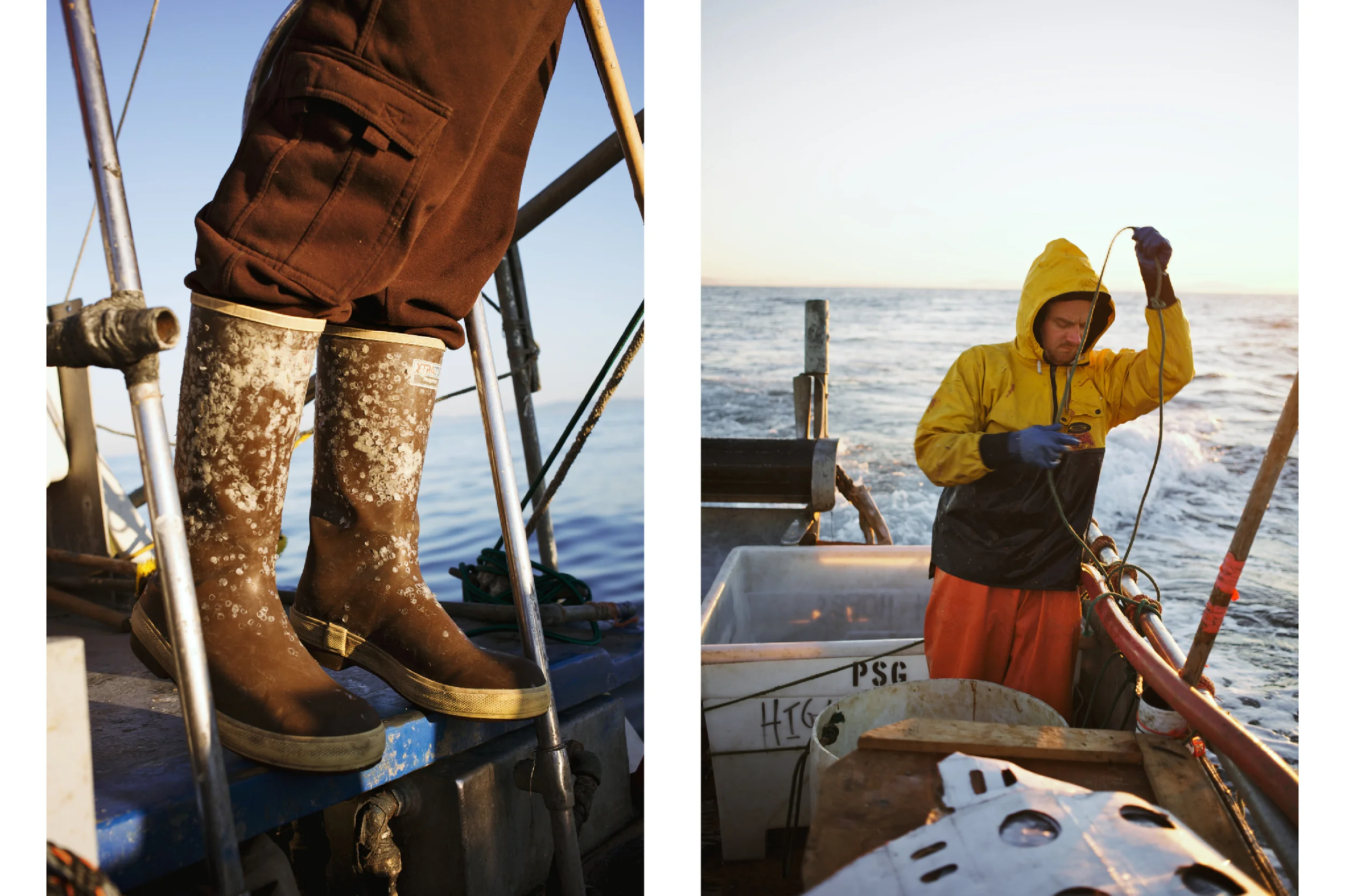 Crabbing3.jpg