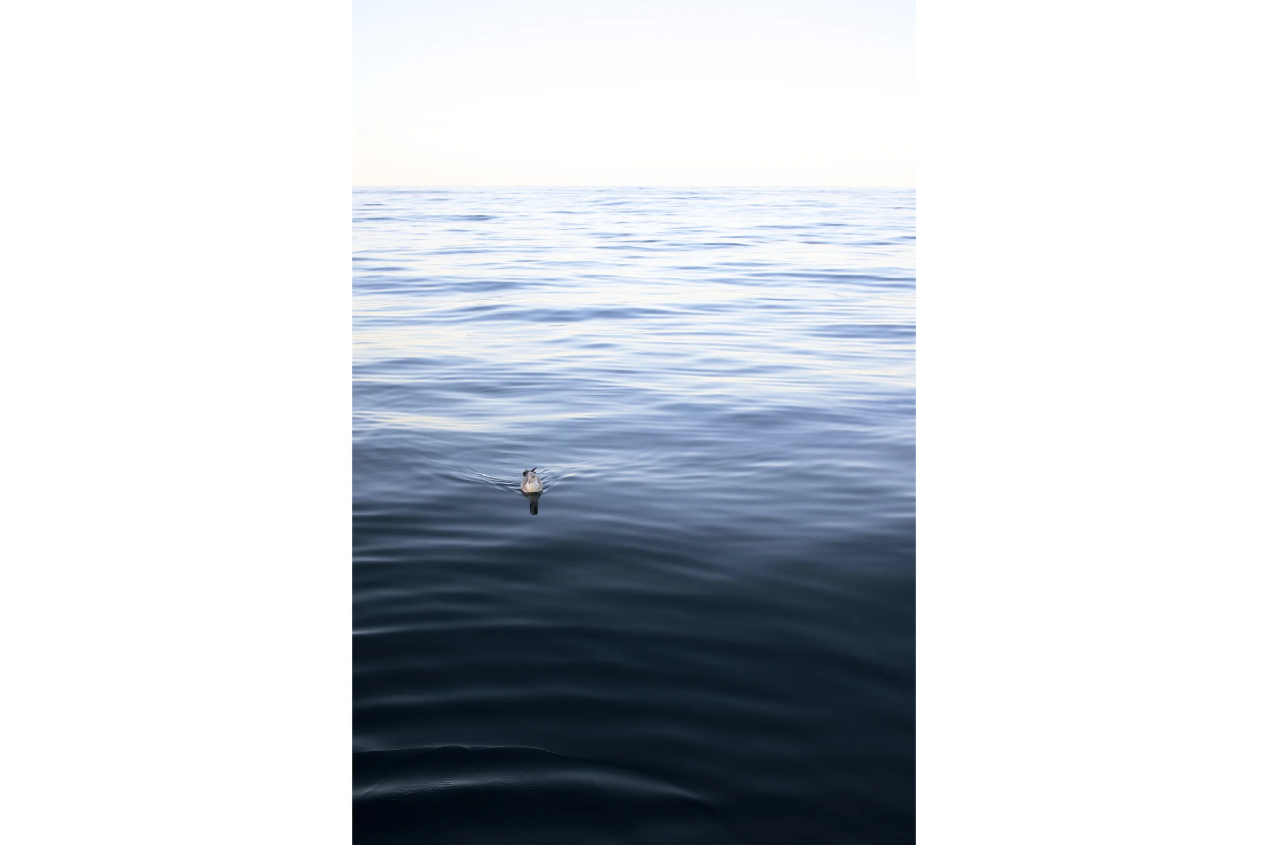 Crabbing5.jpg