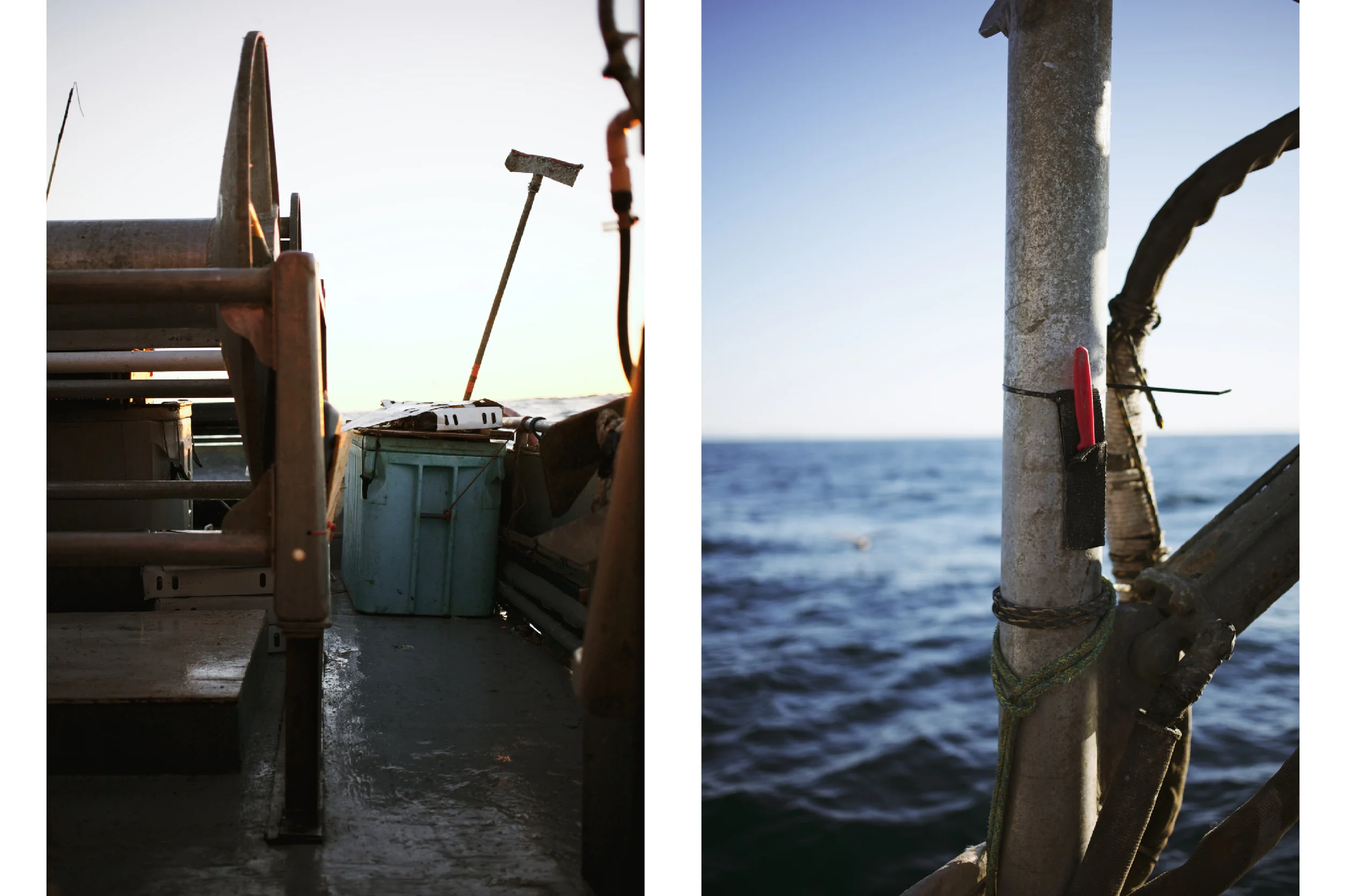 Crabbing6.jpg
