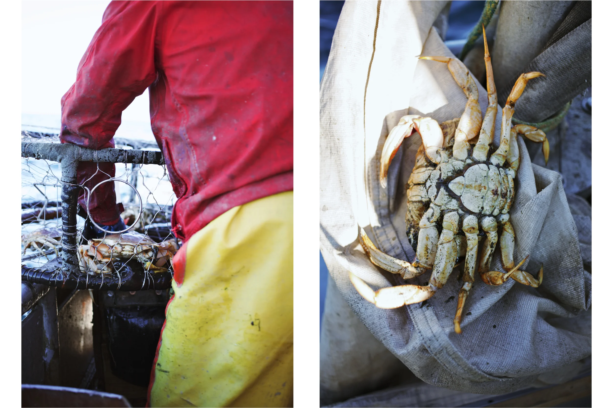 Crabbing10.jpg