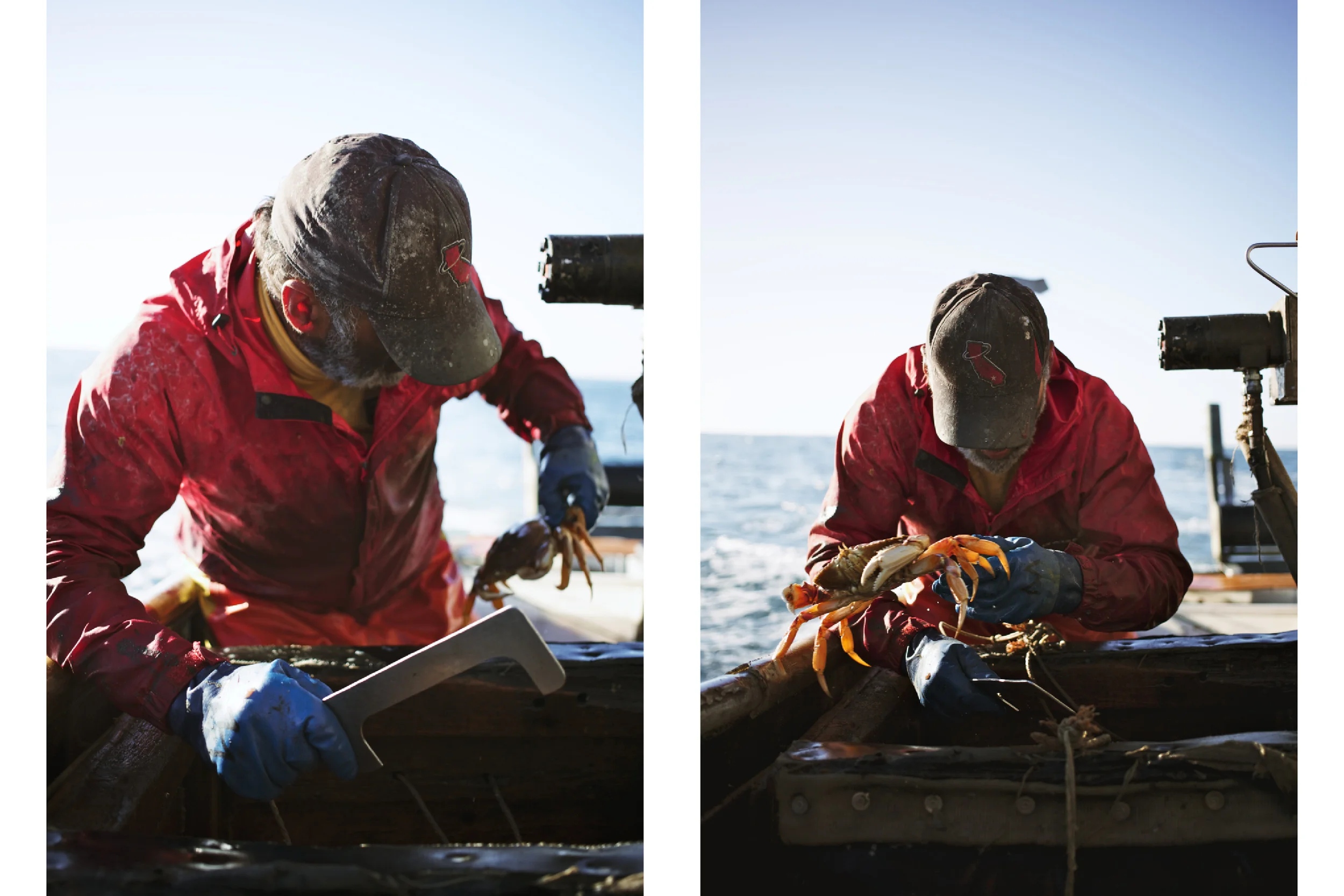 Crabbing14.jpg
