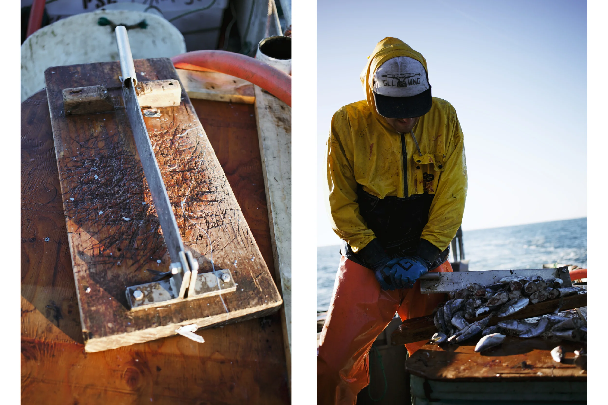 Crabbing15.jpg