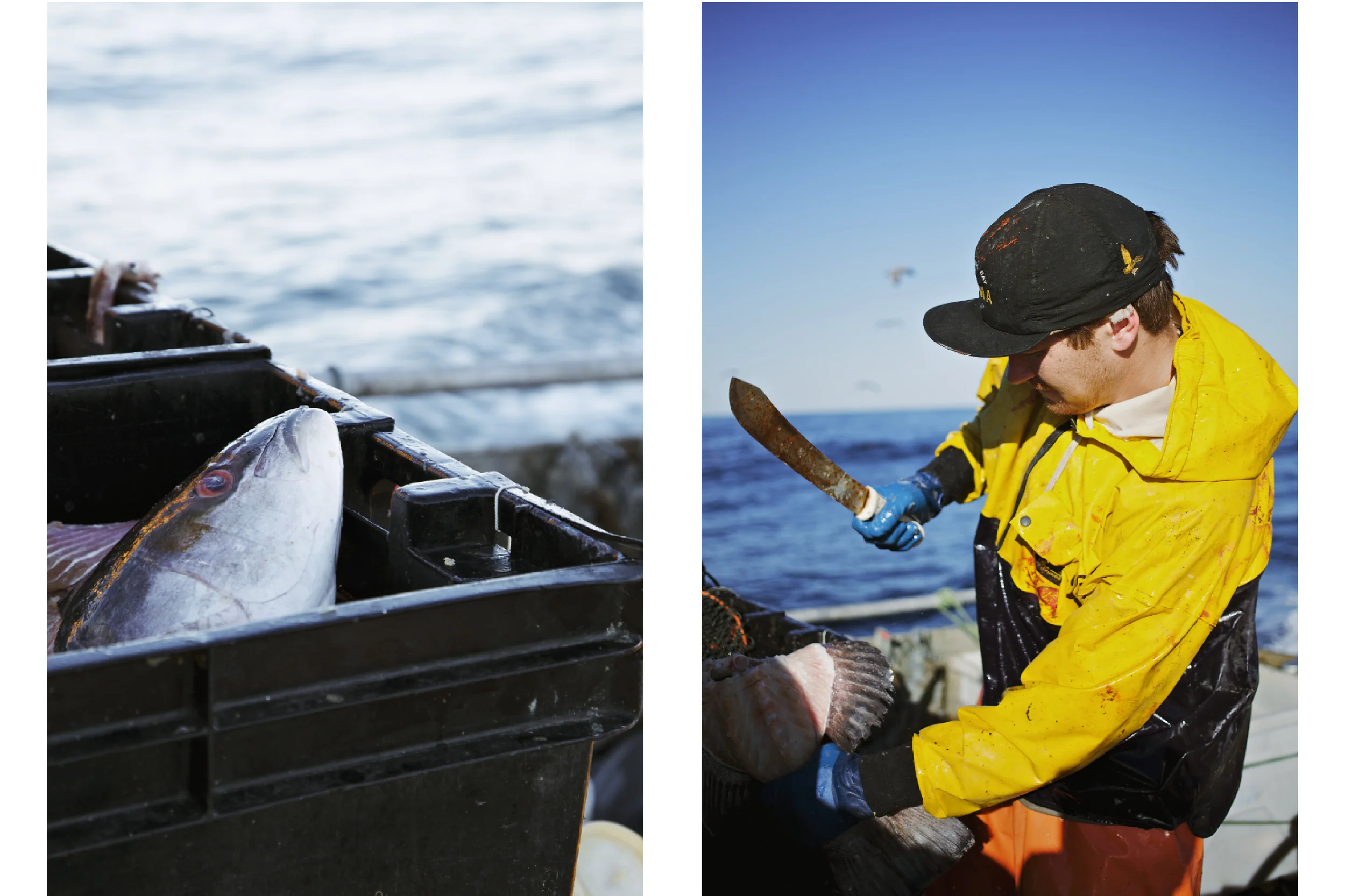 Crabbing16.jpg