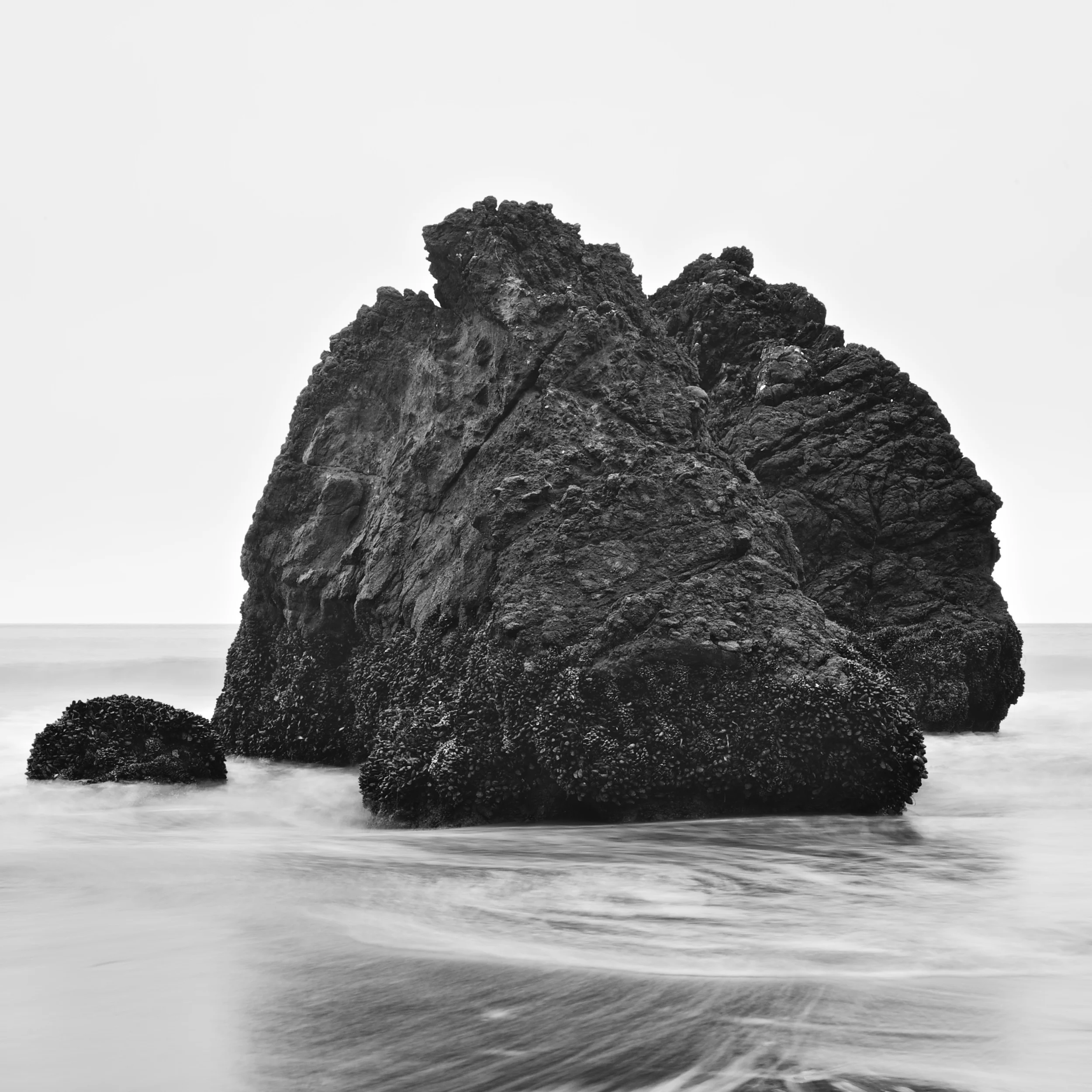 homepage 8.jpg
