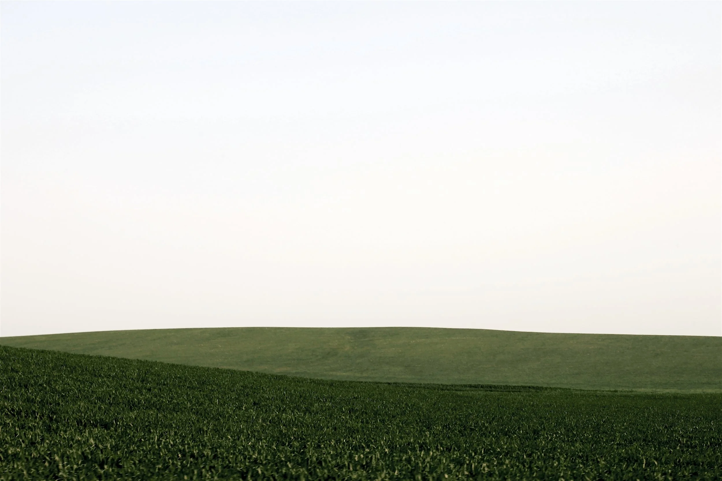 Land-7.jpg