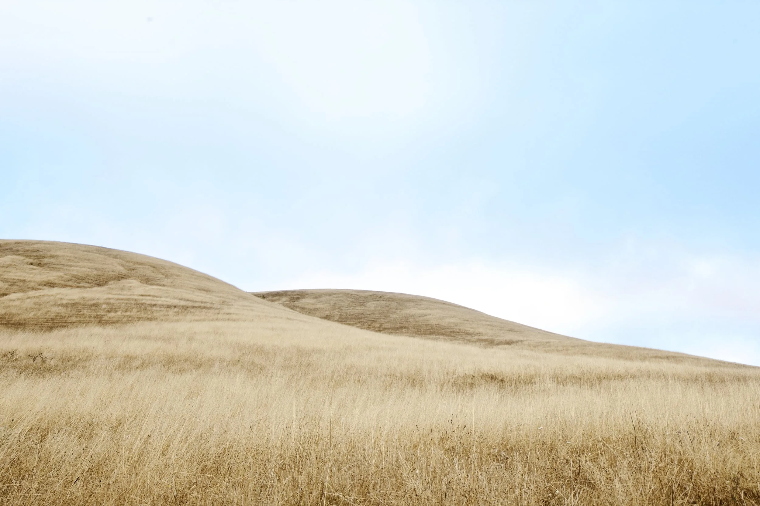 Land-19.jpg