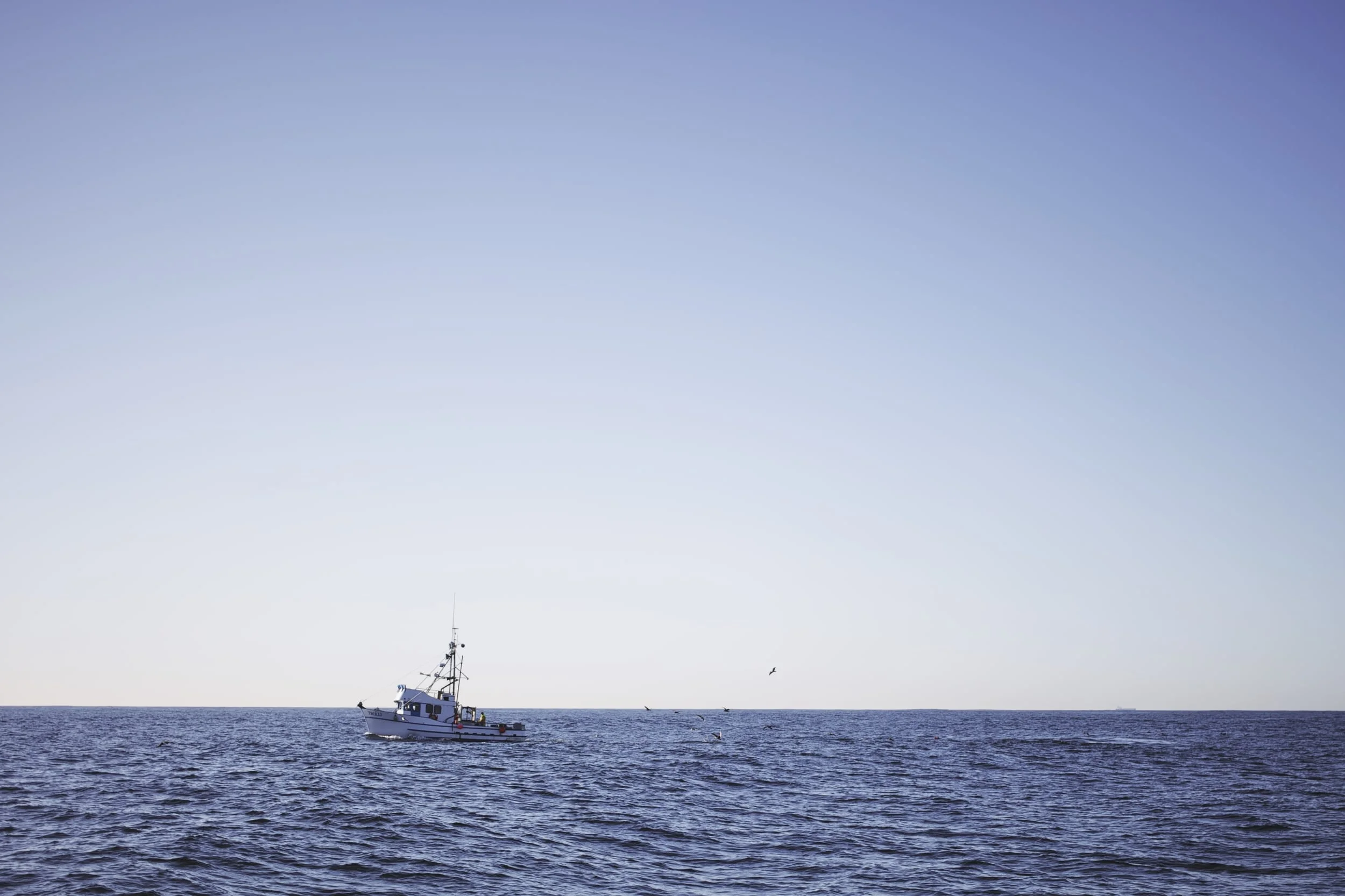 Water-19.jpg