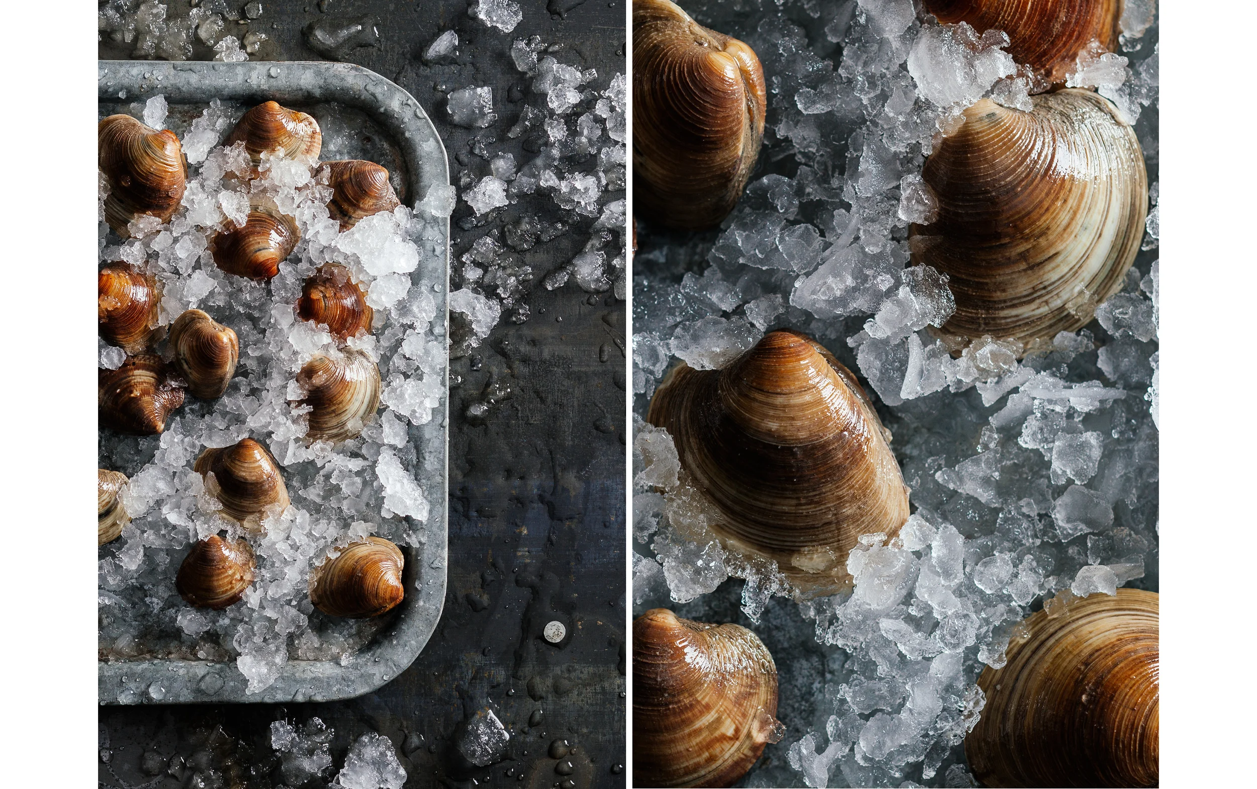 Clams.jpg
