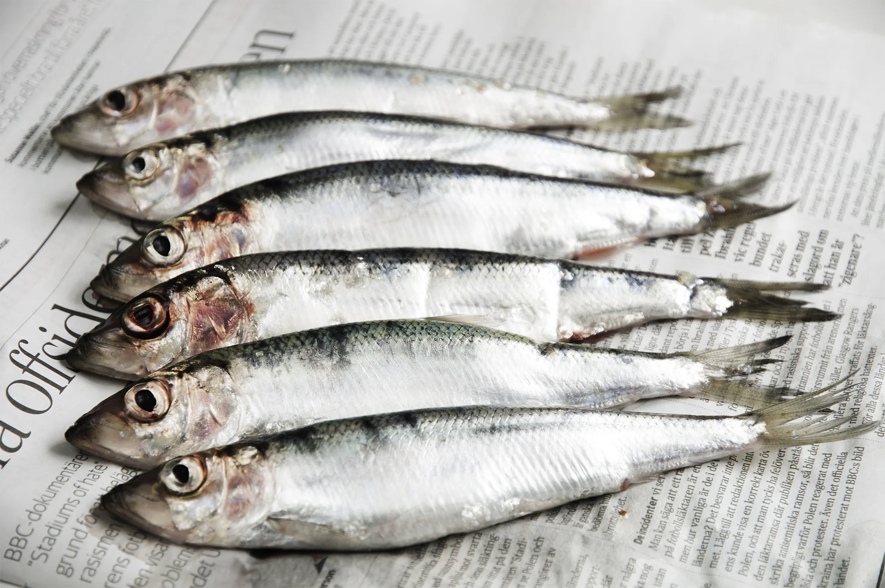 Strömming.jpg
