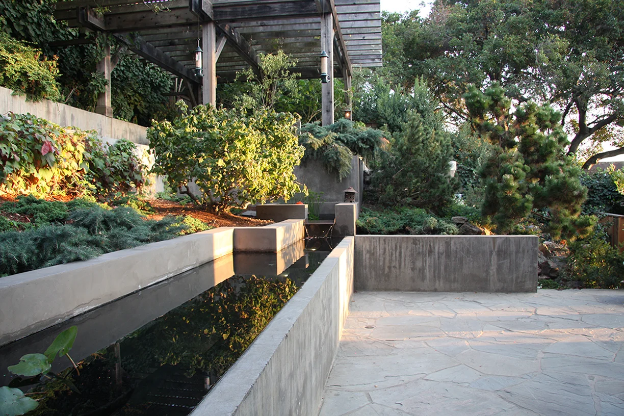 Pond Angle reduced.jpg