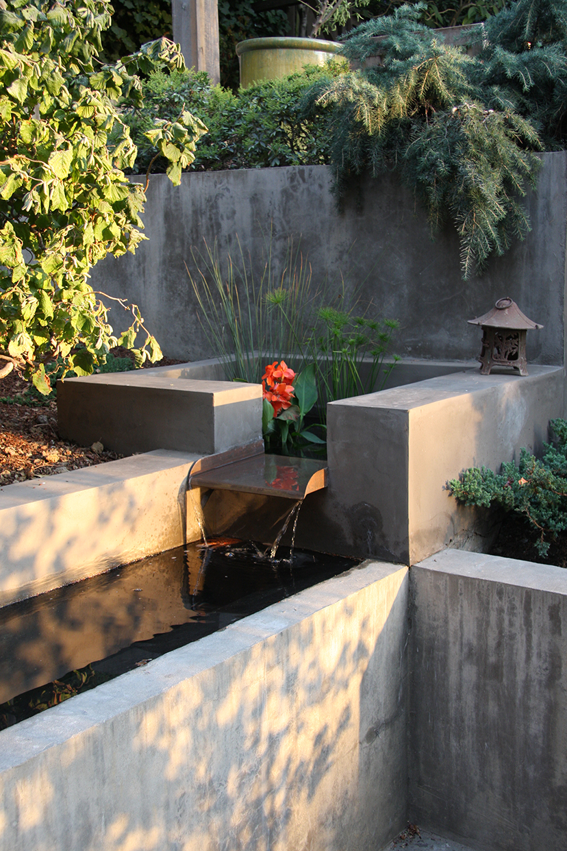Pond Close Up.jpg
