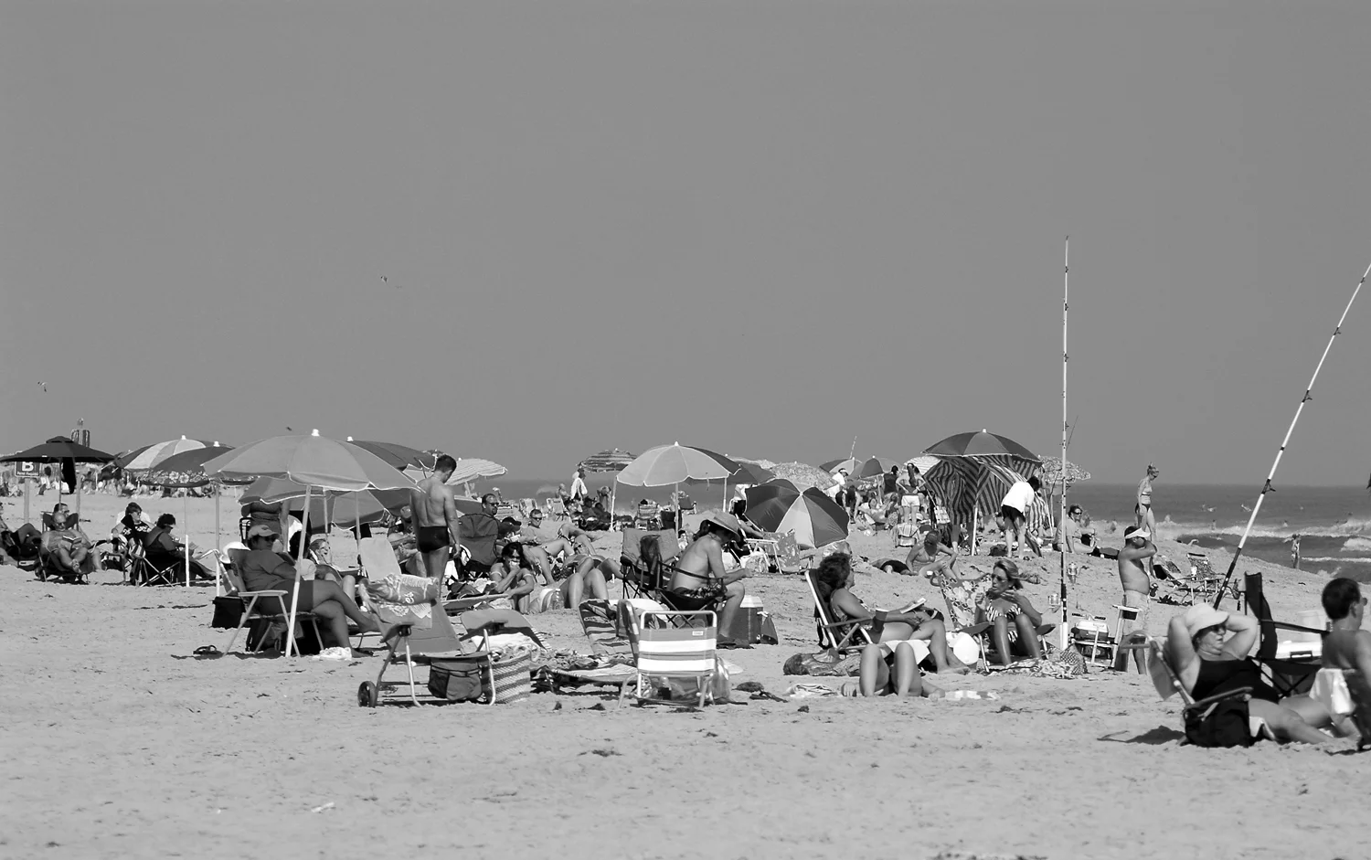 assateague.jpg